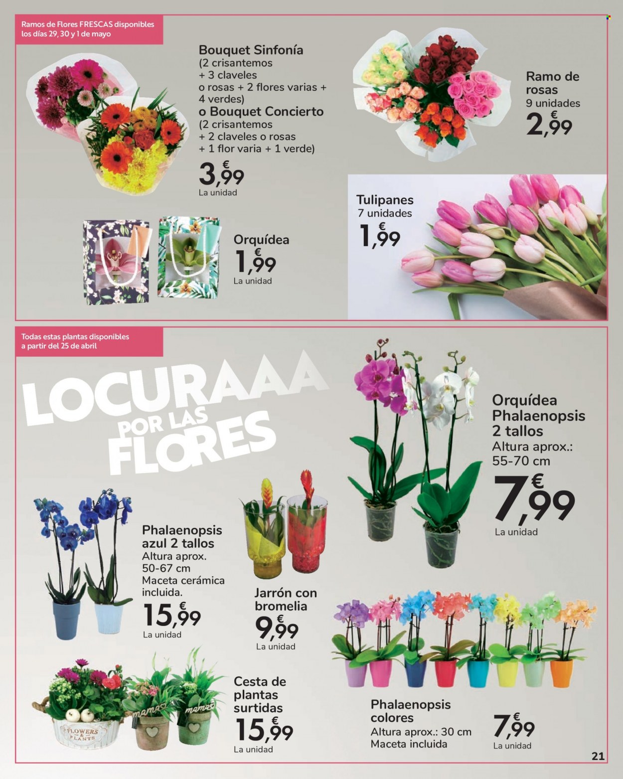 Folleto Carrefour - 19/04/22 - 01/05/22. Página 21