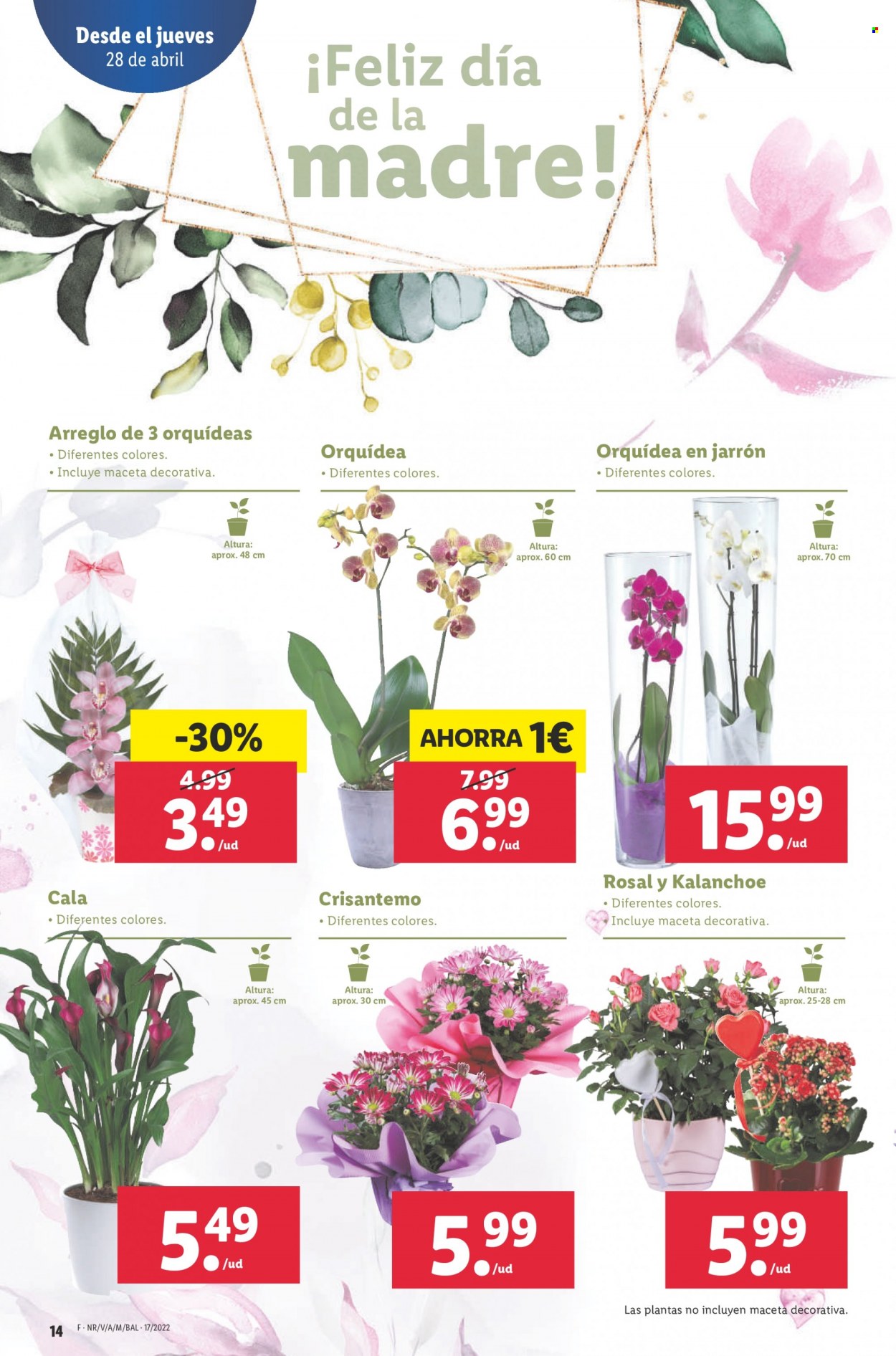 Folleto Lidl - 28/04/22 - 04/05/22. Página 14