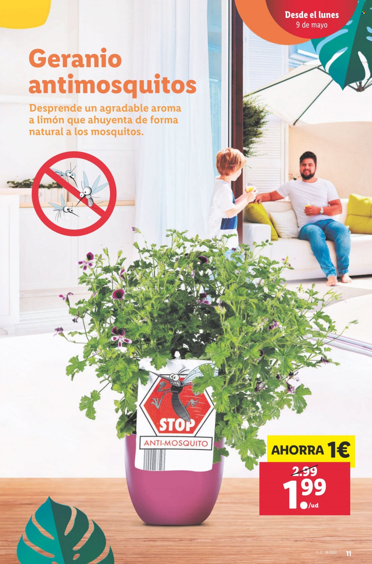 Folleto Lidl - 05/05/22 - 11/05/22. Página 11