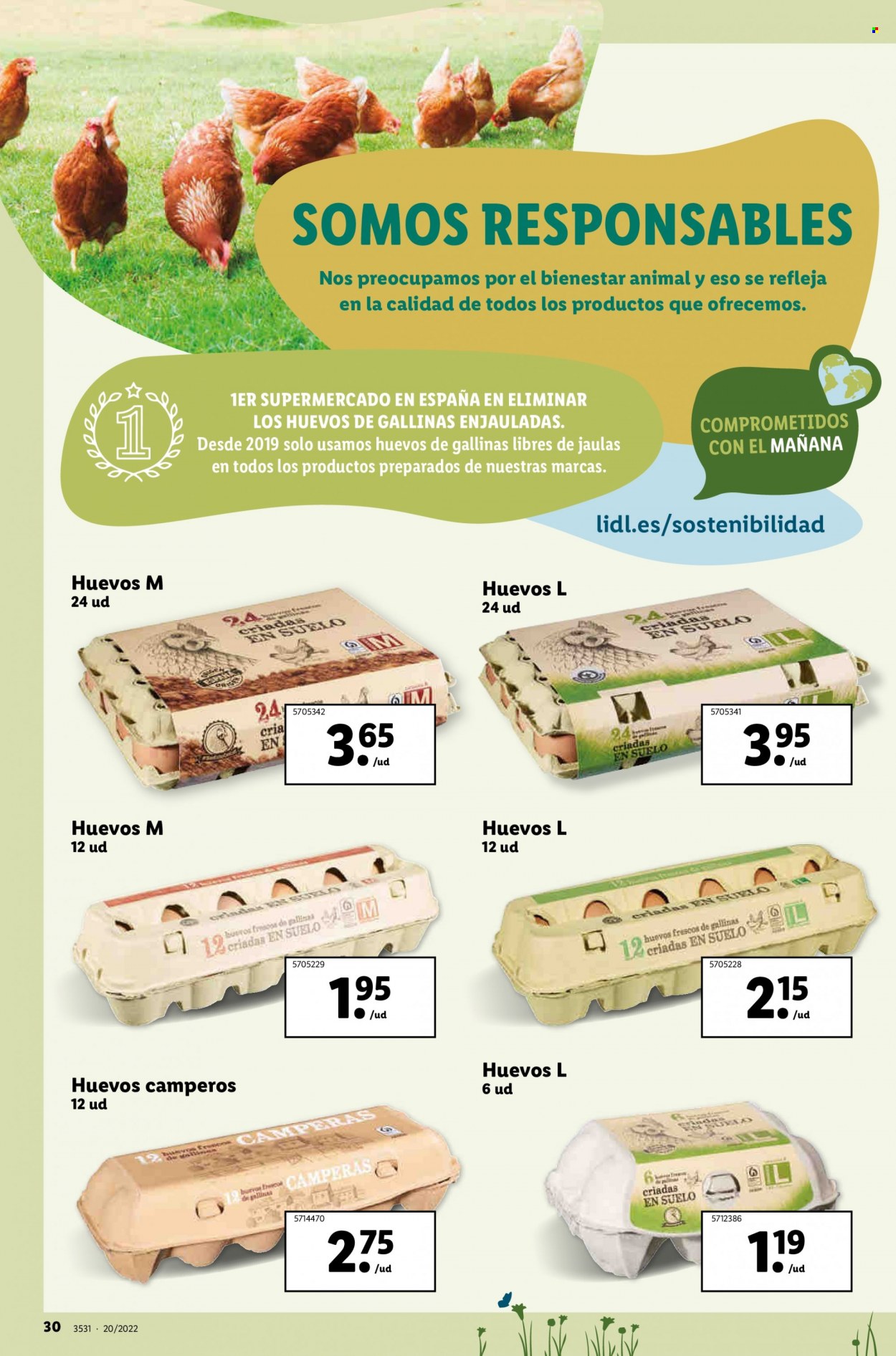 Folleto Lidl - 19/05/22 - 25/05/22. Página 30