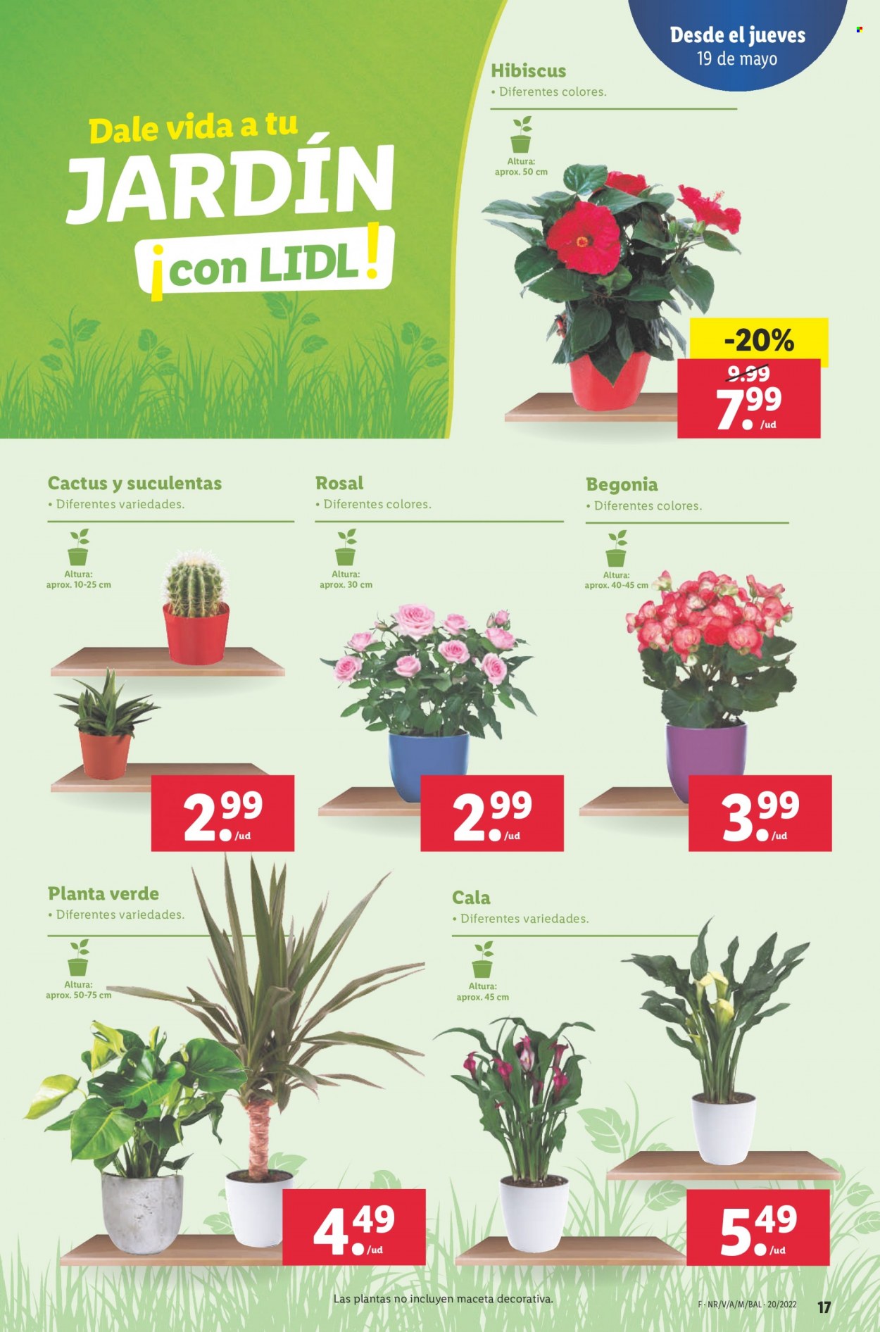 Folleto Lidl - 19/05/22 - 25/05/22. Página 17