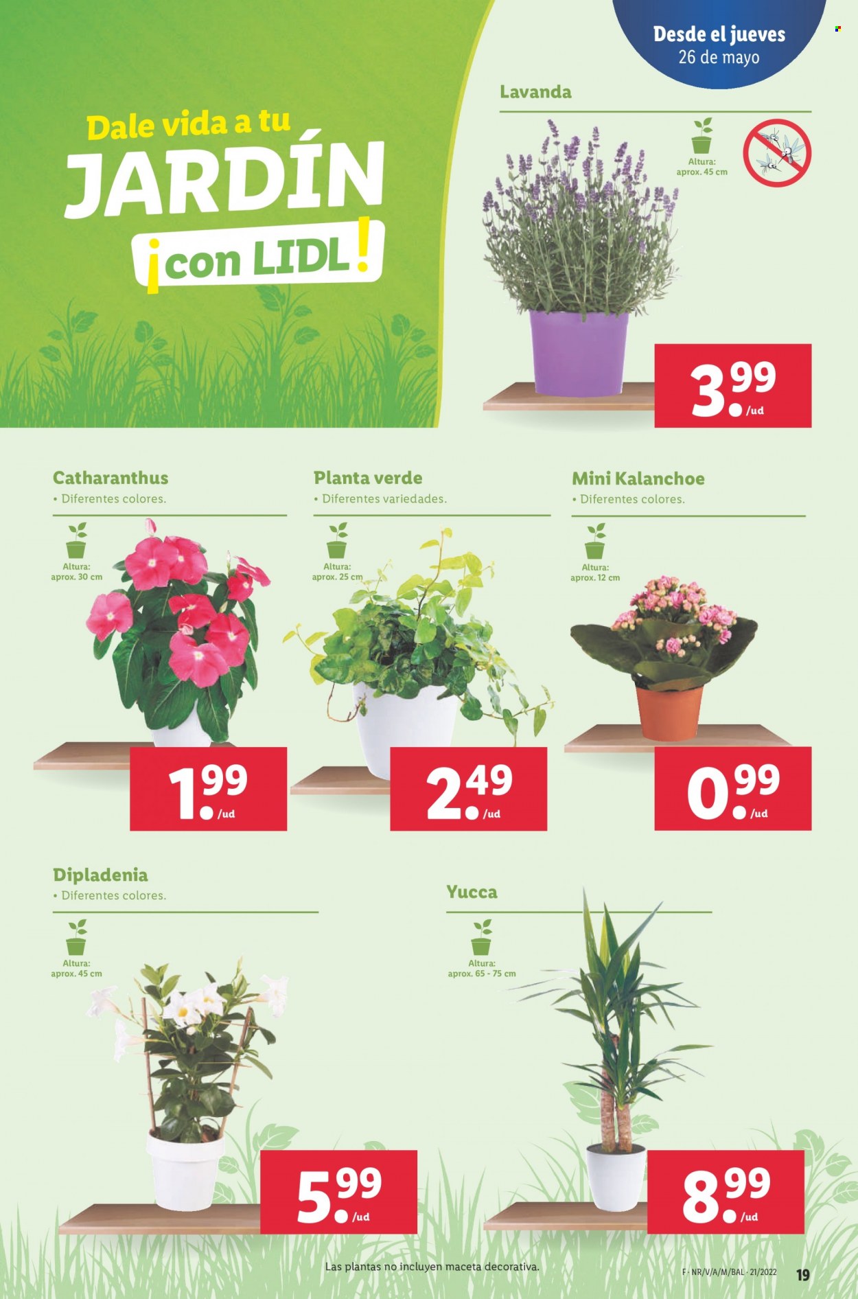 Folleto Lidl - 26/05/22 - 01/06/22. Página 19