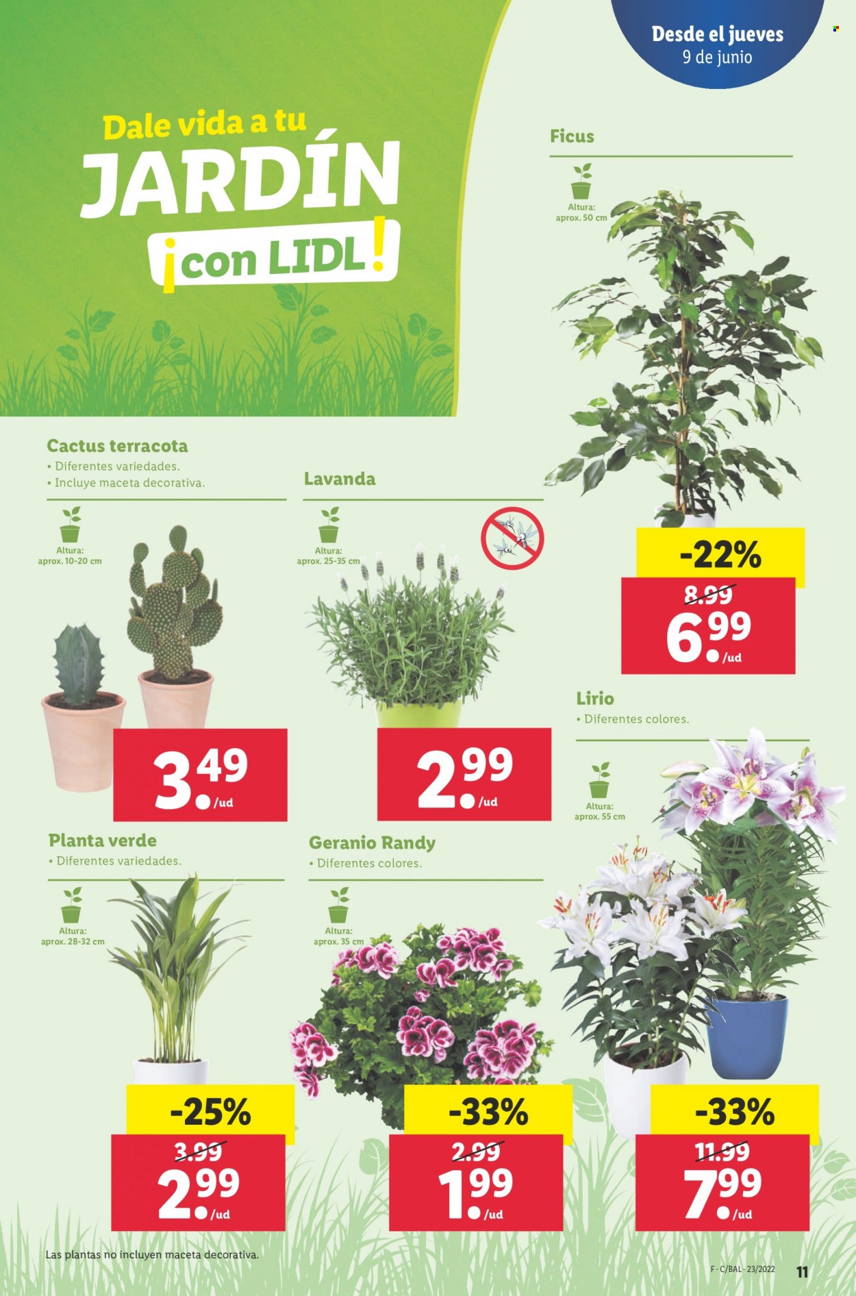 Folleto Lidl - 09/06/22 - 15/06/22. Página 11