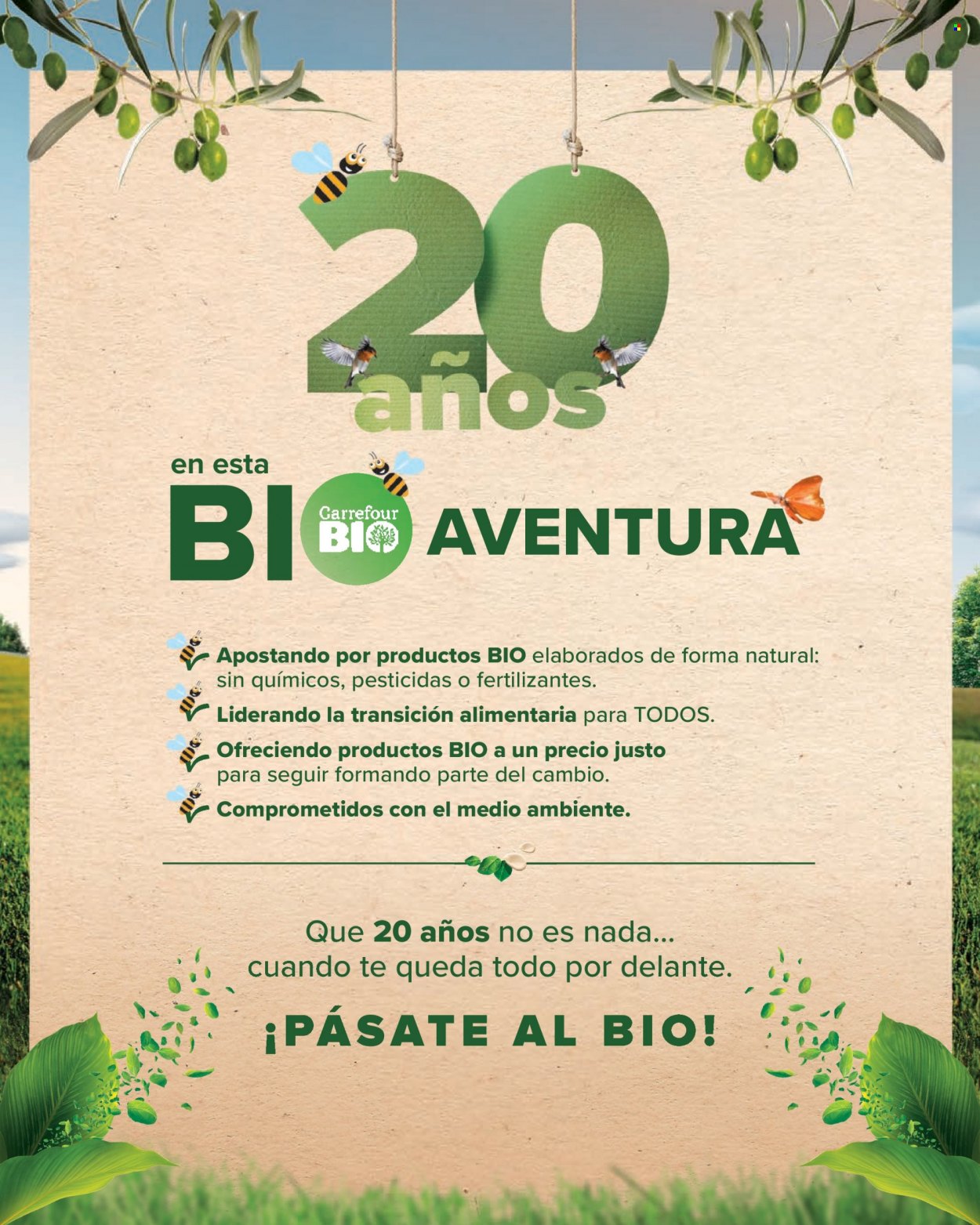 Folleto Carrefour - 24/06/22 - 13/07/22. Página 2