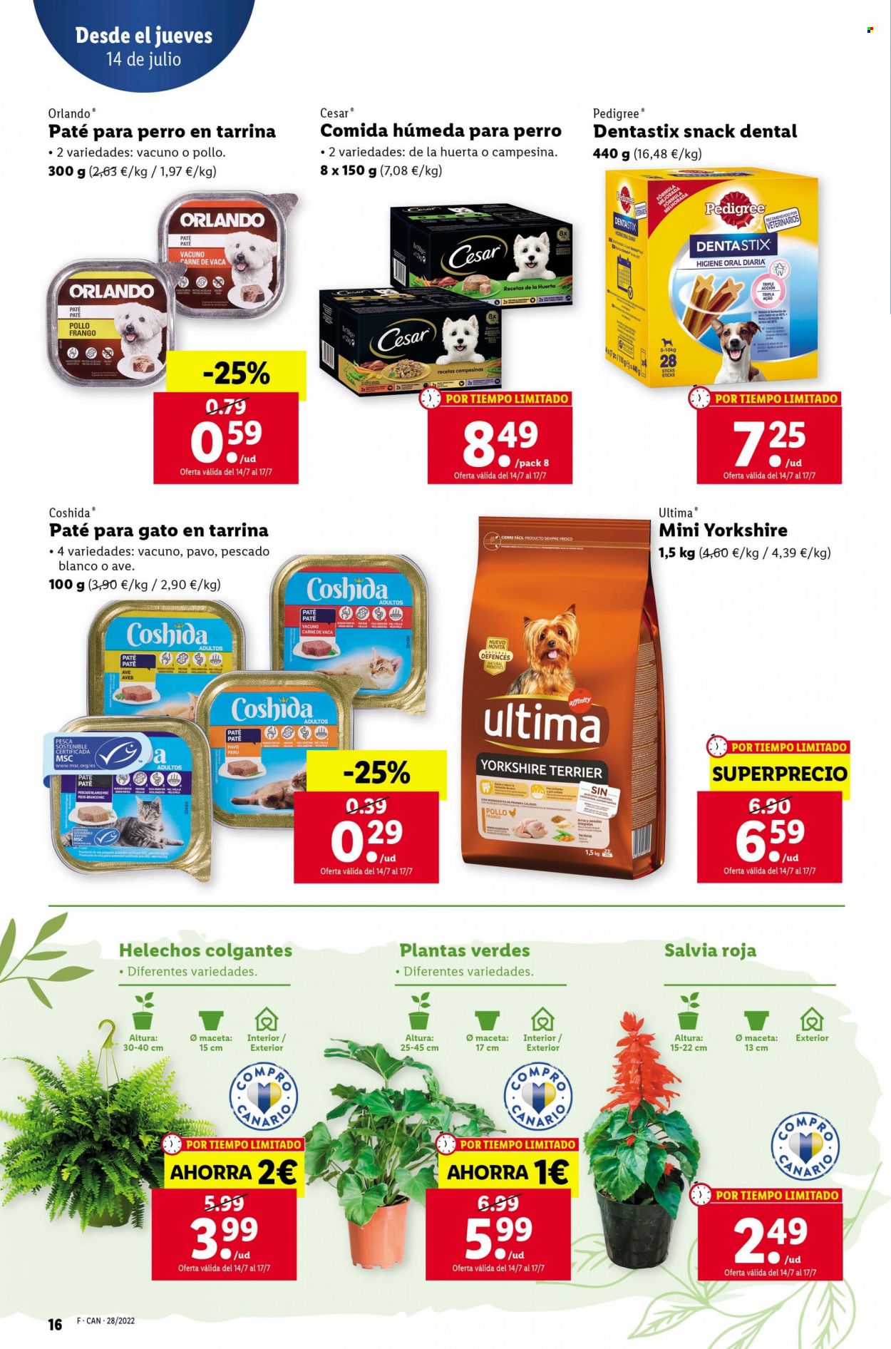 Folleto Lidl - 14/07/22 - 20/07/22. Página 16