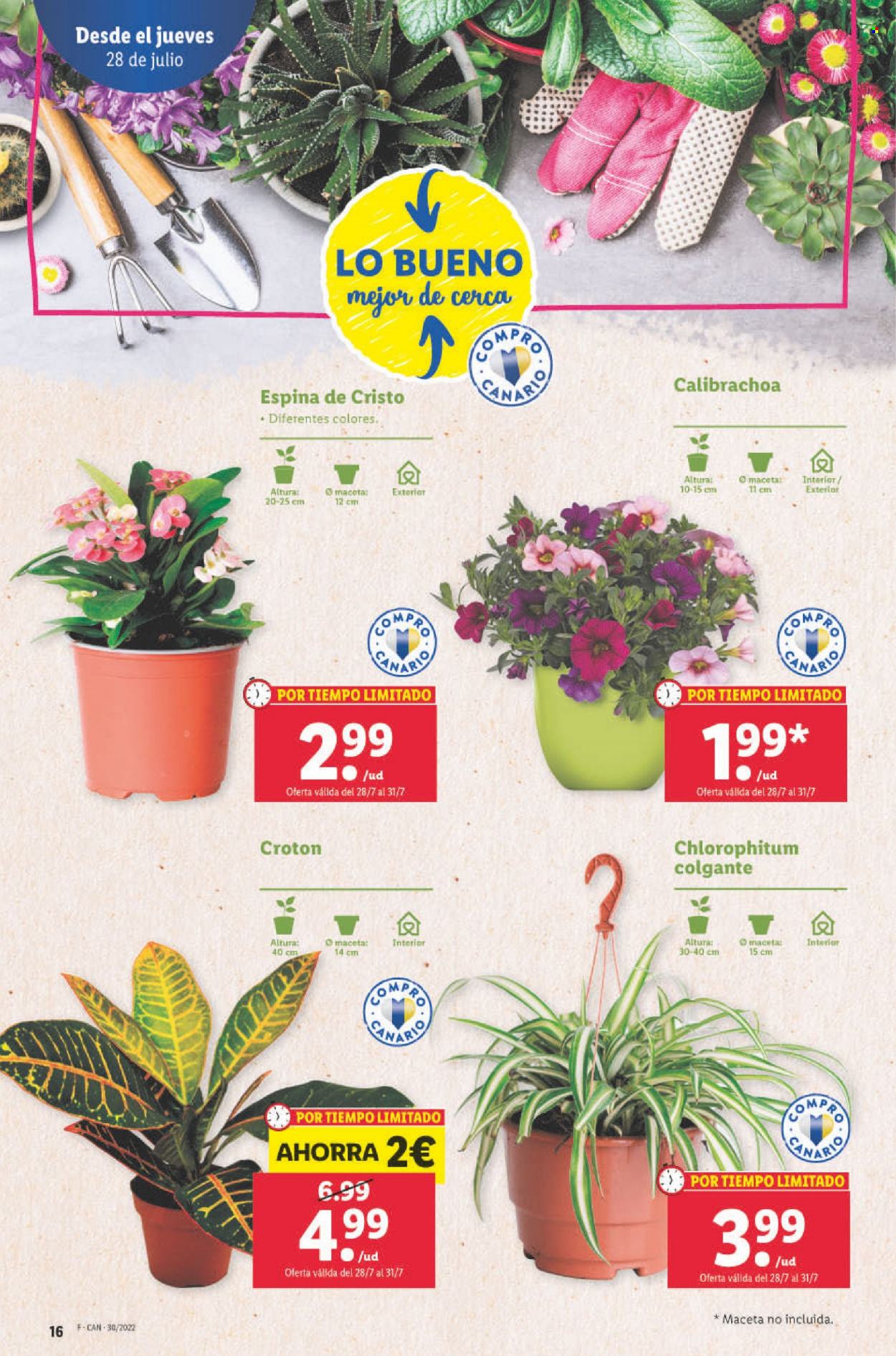 Folleto Lidl - 28/07/22 - 03/08/22. Página 16