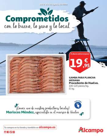 Folleto actual Alcampo - 02/08/22 - 08/08/22.