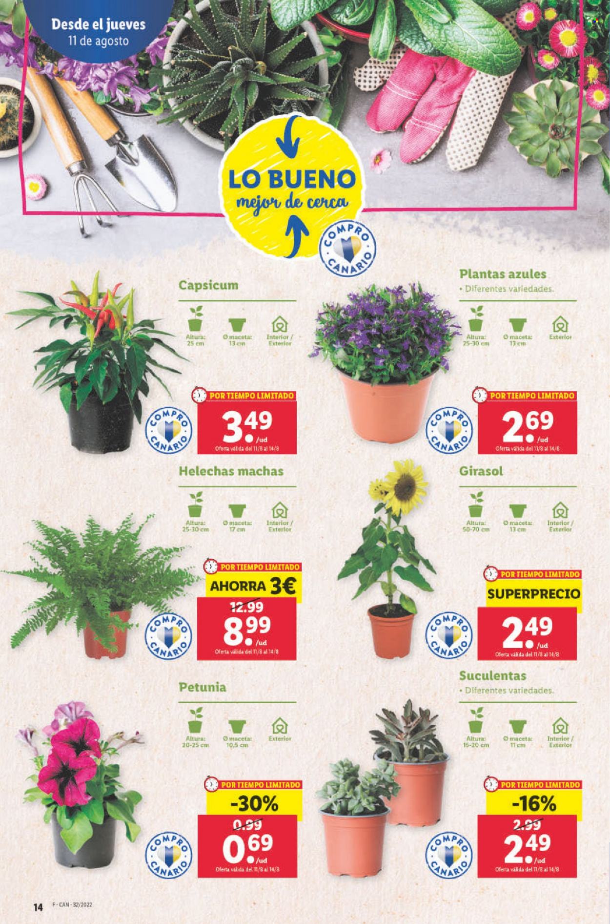 Folleto Lidl - 11/08/22 - 17/08/22. Página 14