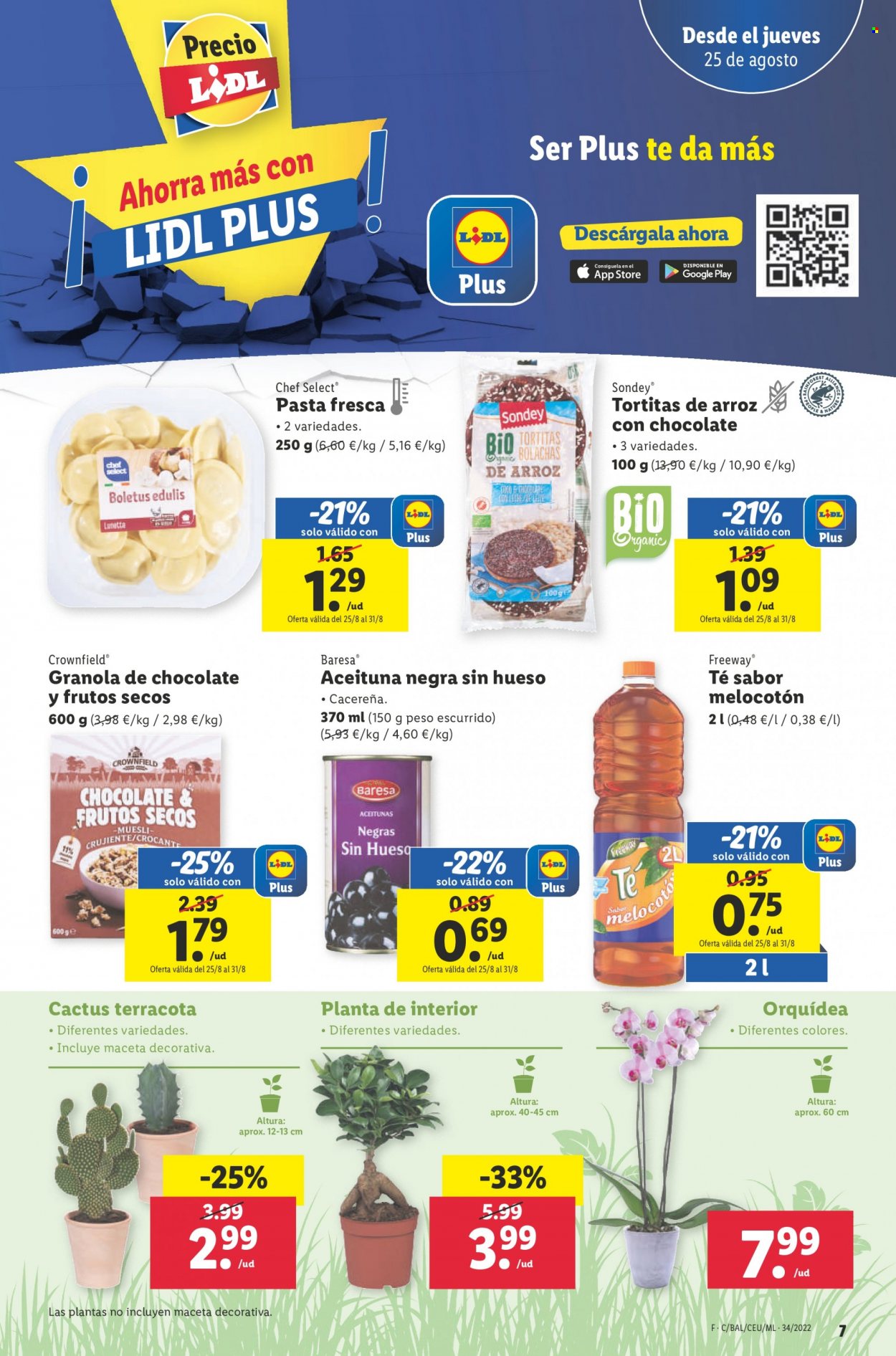 Folleto Lidl - 25/08/22 - 31/08/22. Página 7