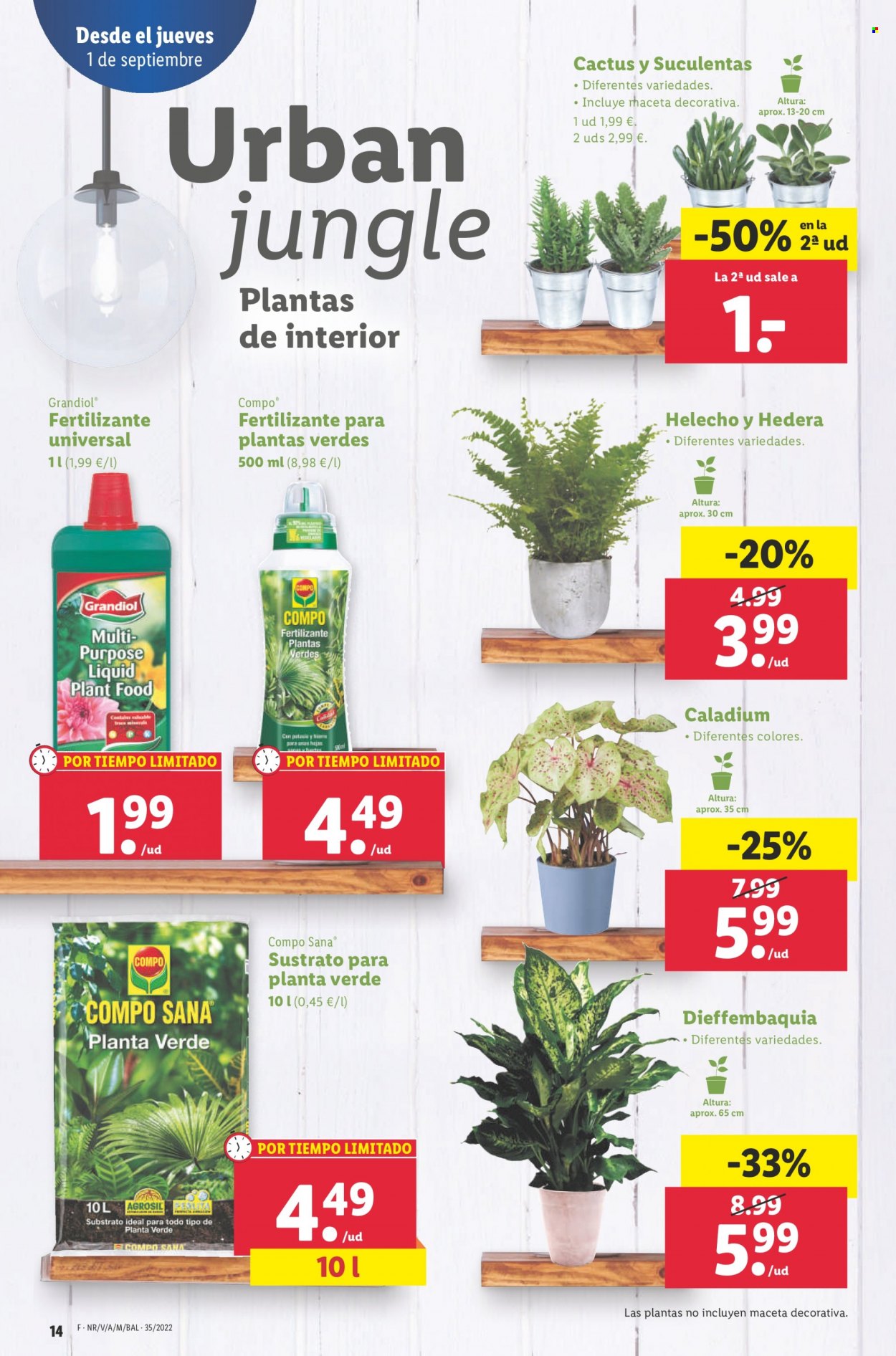 Folleto Lidl - 01/09/22 - 07/09/22. Página 14