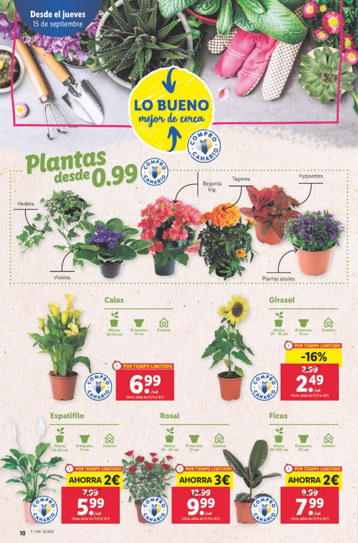 Folleto Lidl - 15/09/22 - 21/09/22. Página 10