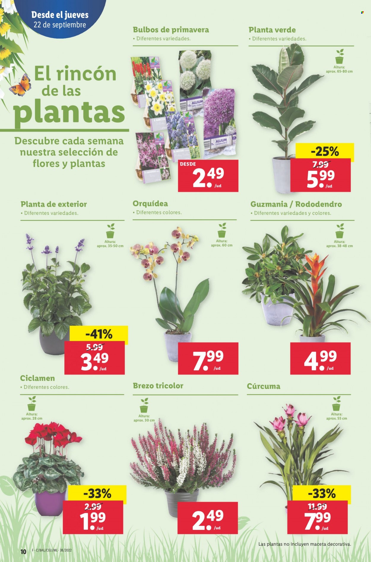 Folleto Lidl - 22/09/22 - 28/09/22. Página 10
