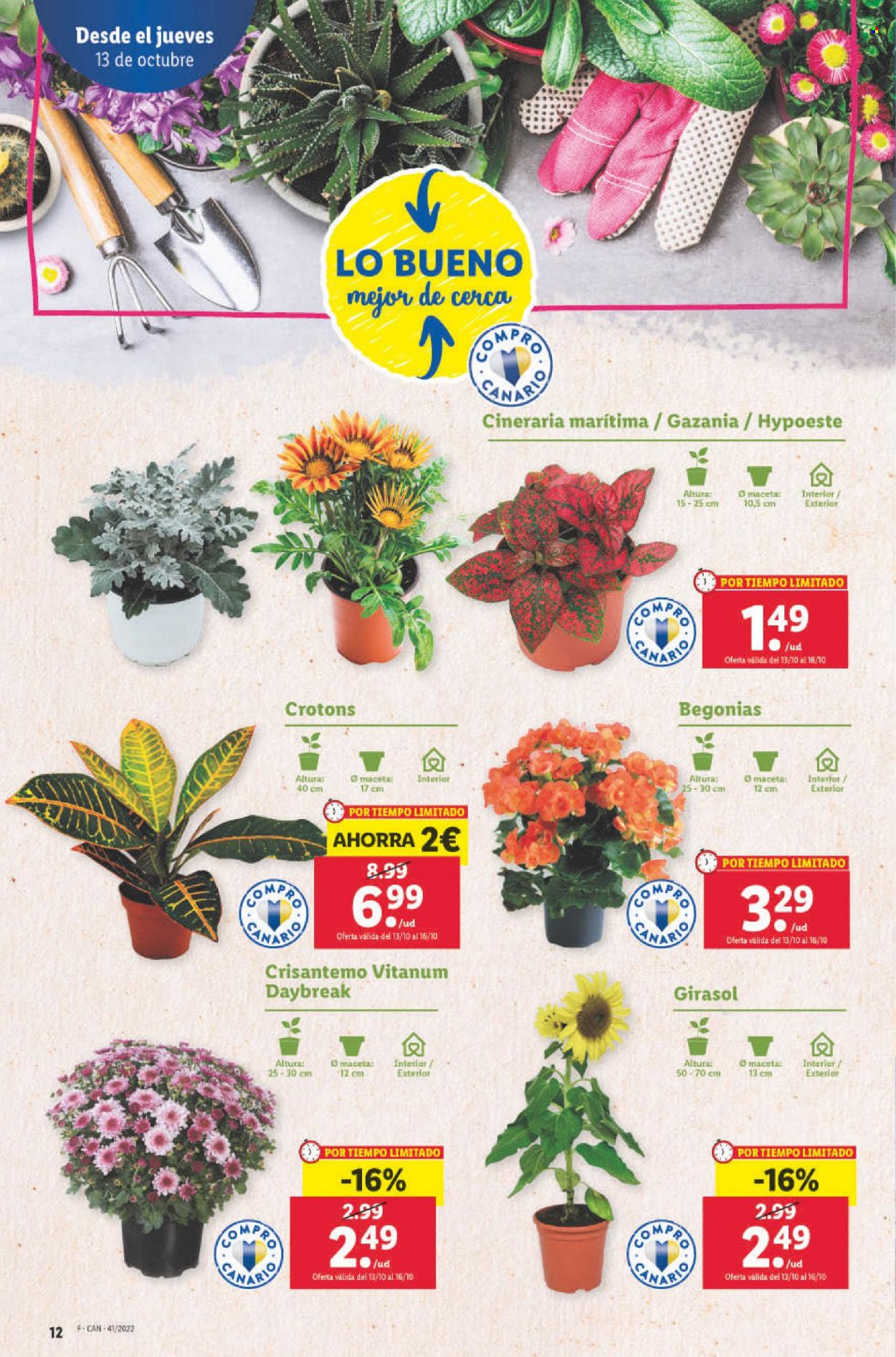 Folleto Lidl - 13/10/22 - 19/10/22. Página 12