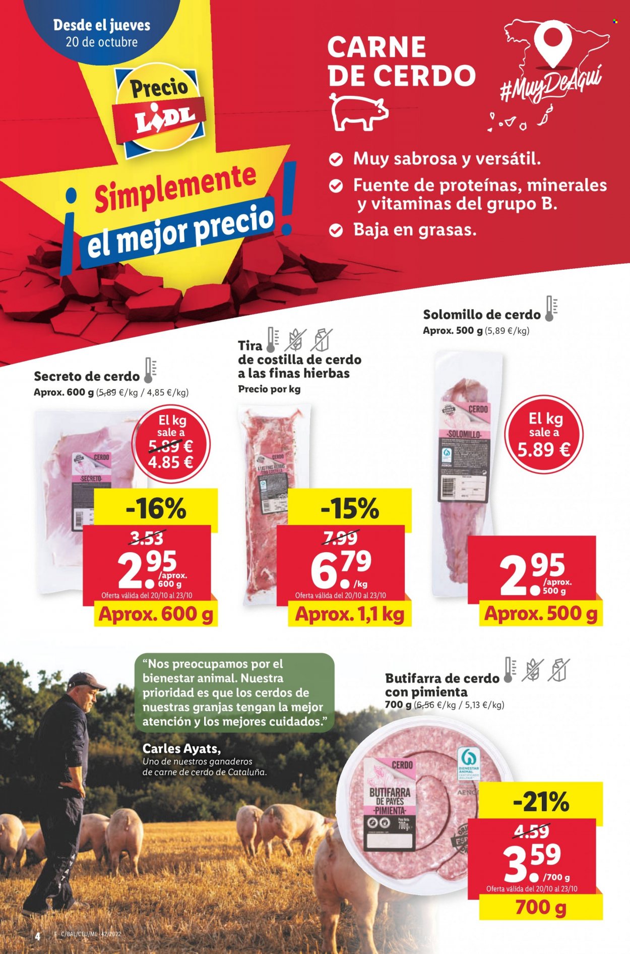 Folleto Lidl - 20/10/22 - 26/10/22. Página 4