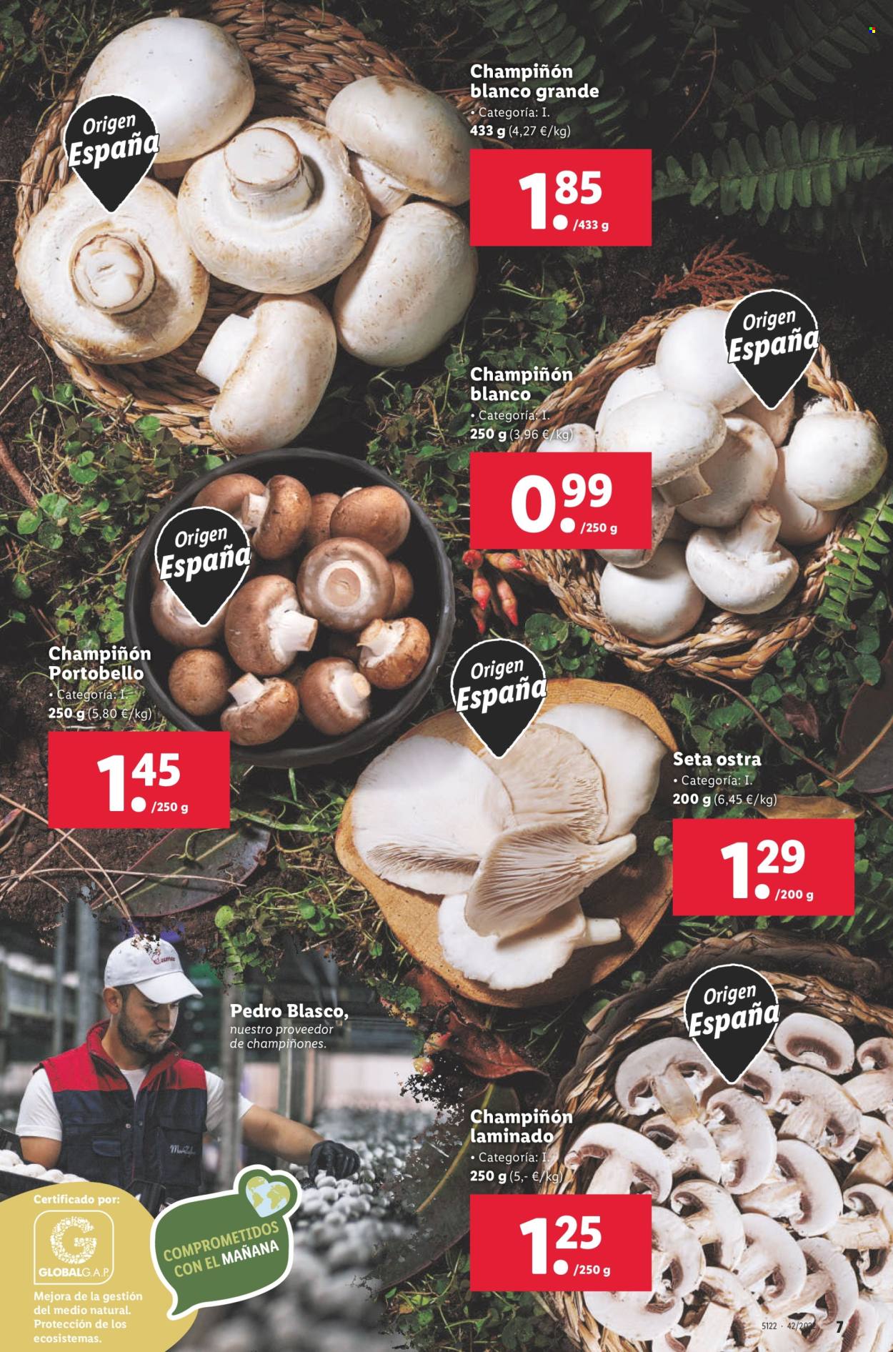 Folleto Lidl - 20/10/22 - 26/10/22. Página 7