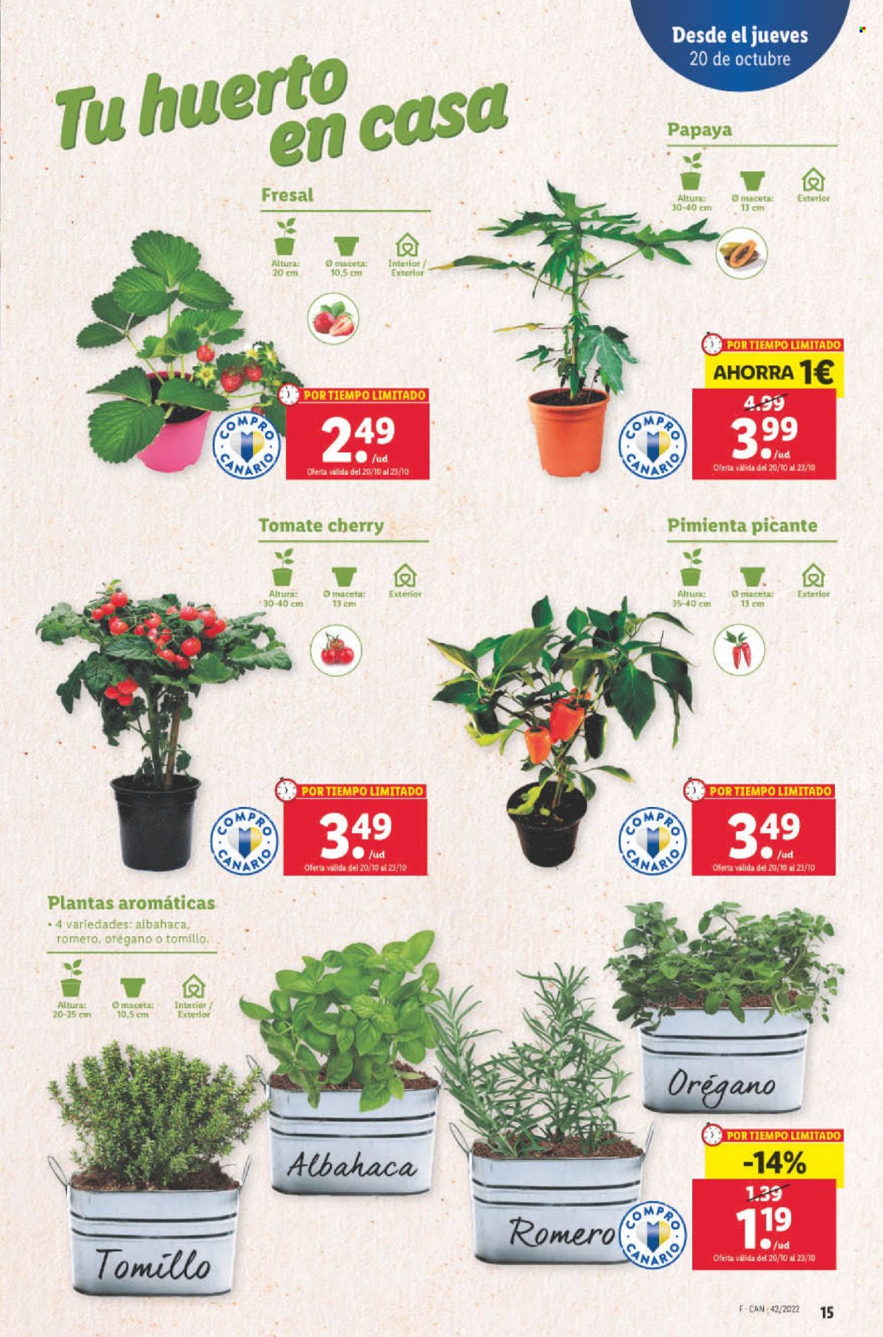 Folleto Lidl - 20/10/22 - 26/10/22. Página 15