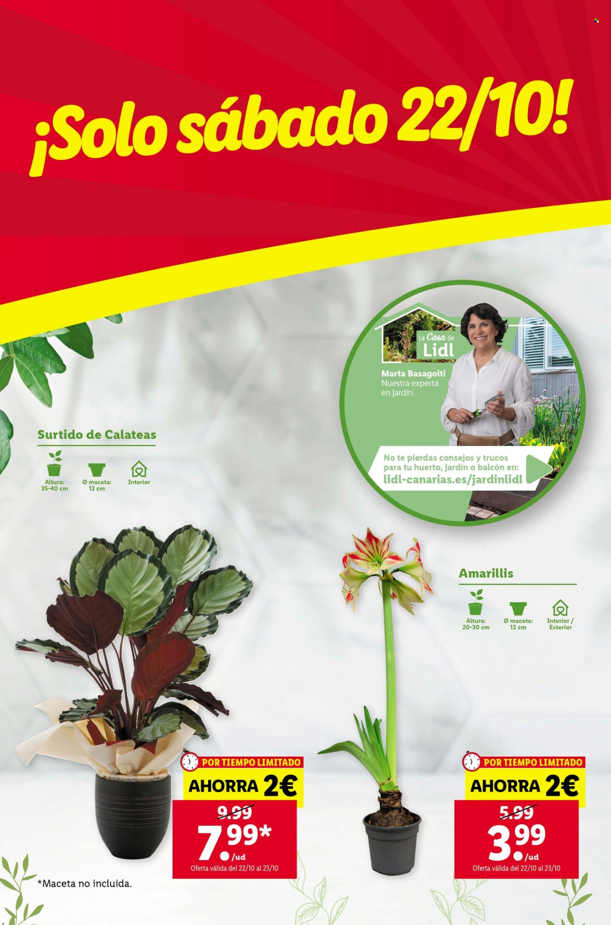 Folleto Lidl - 20/10/22 - 26/10/22. Página 22