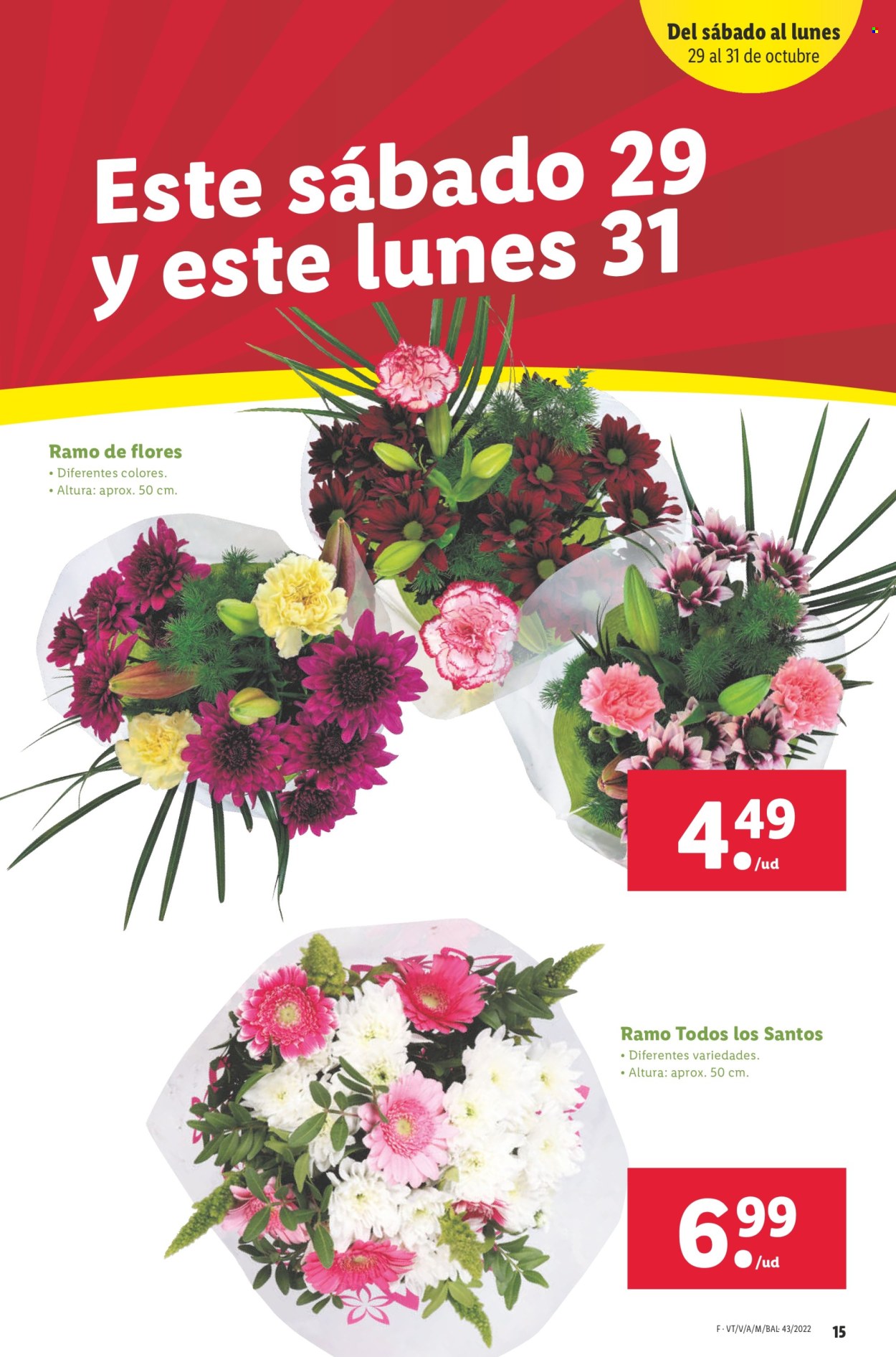 Folleto Lidl - 27/10/22 - 02/11/22. Página 15