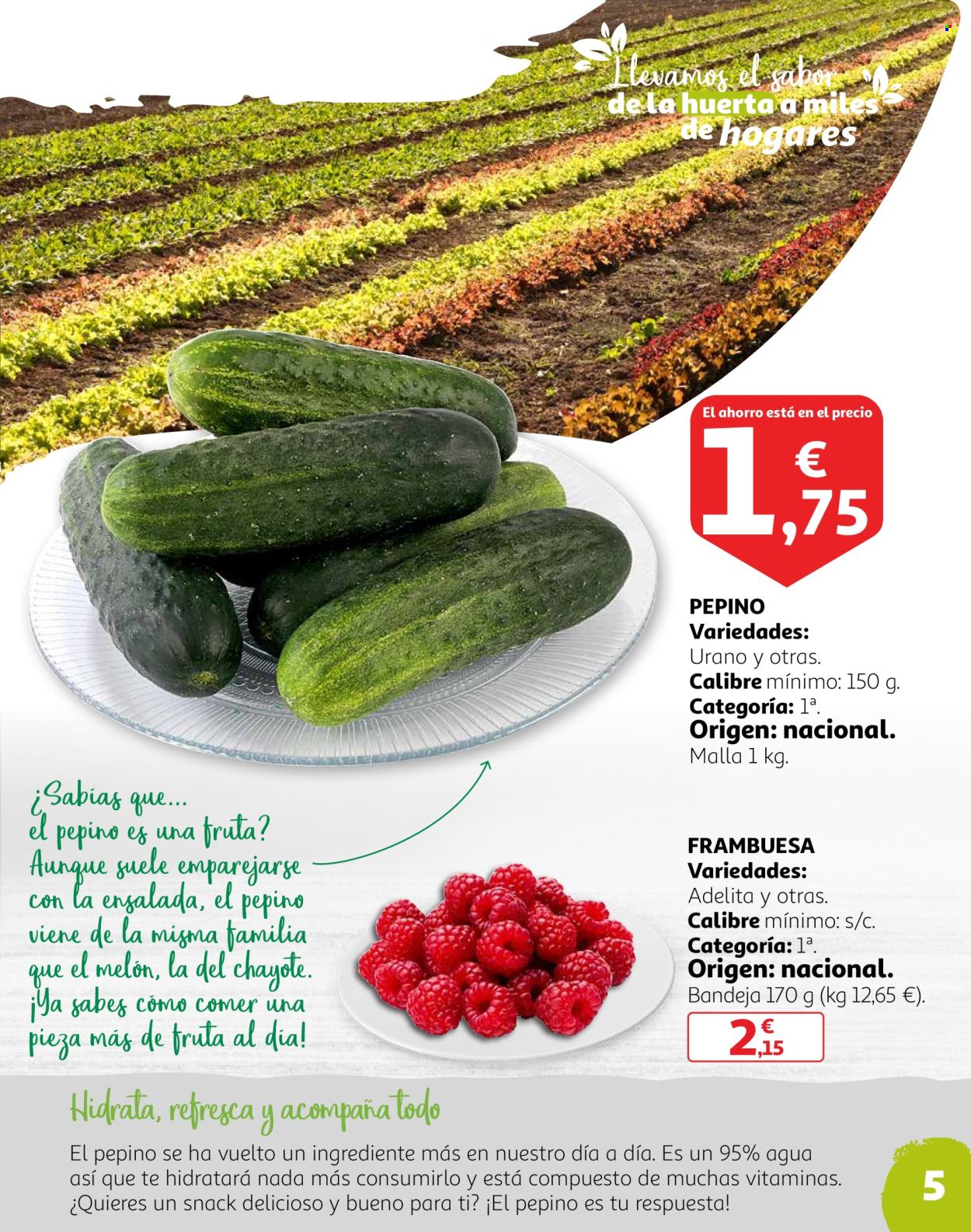 Folleto Alcampo - 25/10/22 - 31/10/22. Página 5