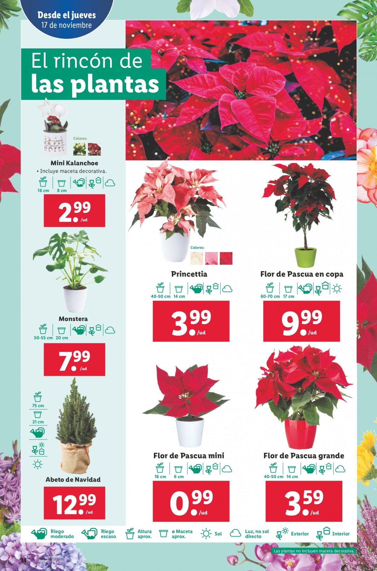 Folleto Lidl - 17/11/22 - 23/11/22. Página 14