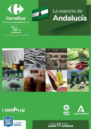 Folleto actual Carrefour - 10/11/22 - 22/11/22.