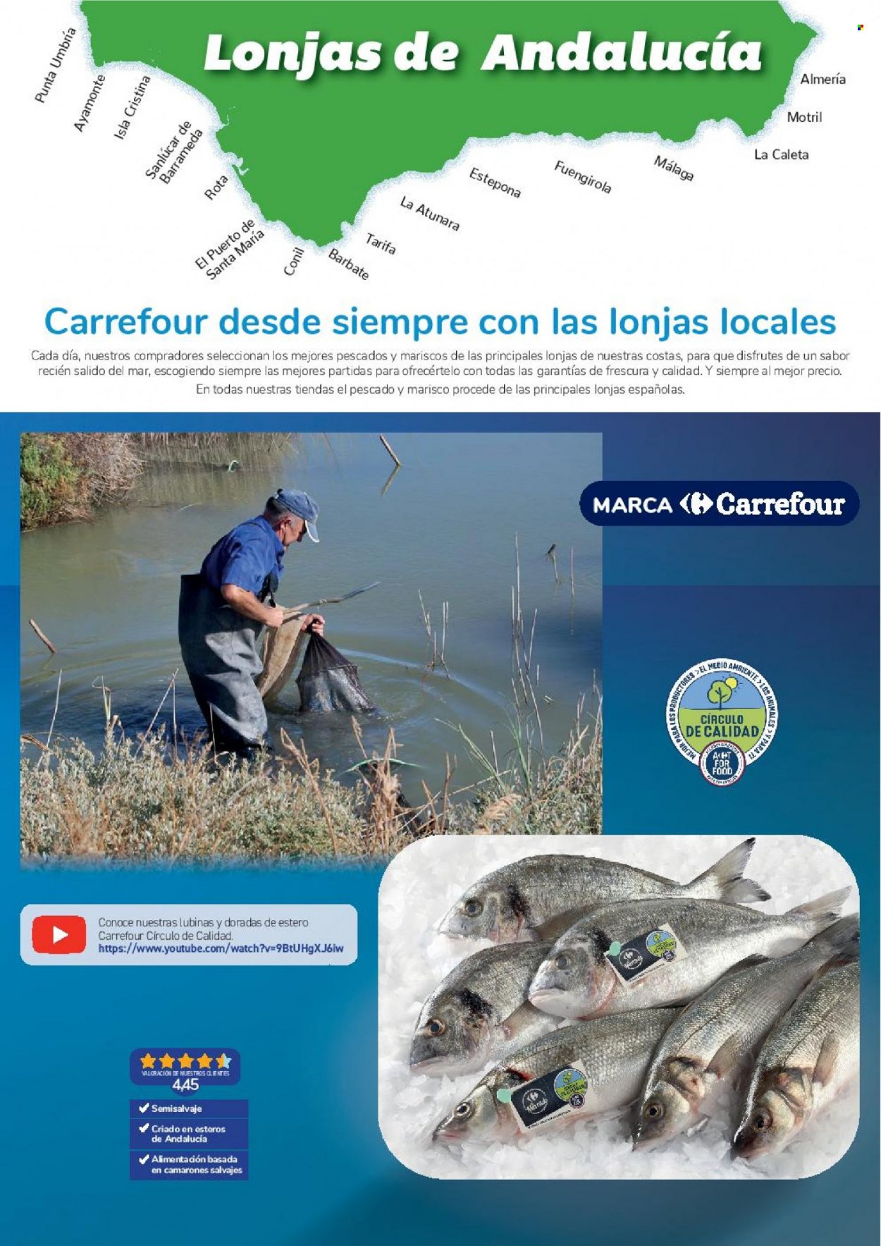 Folleto Carrefour - 10/11/22 - 22/11/22. Página 2