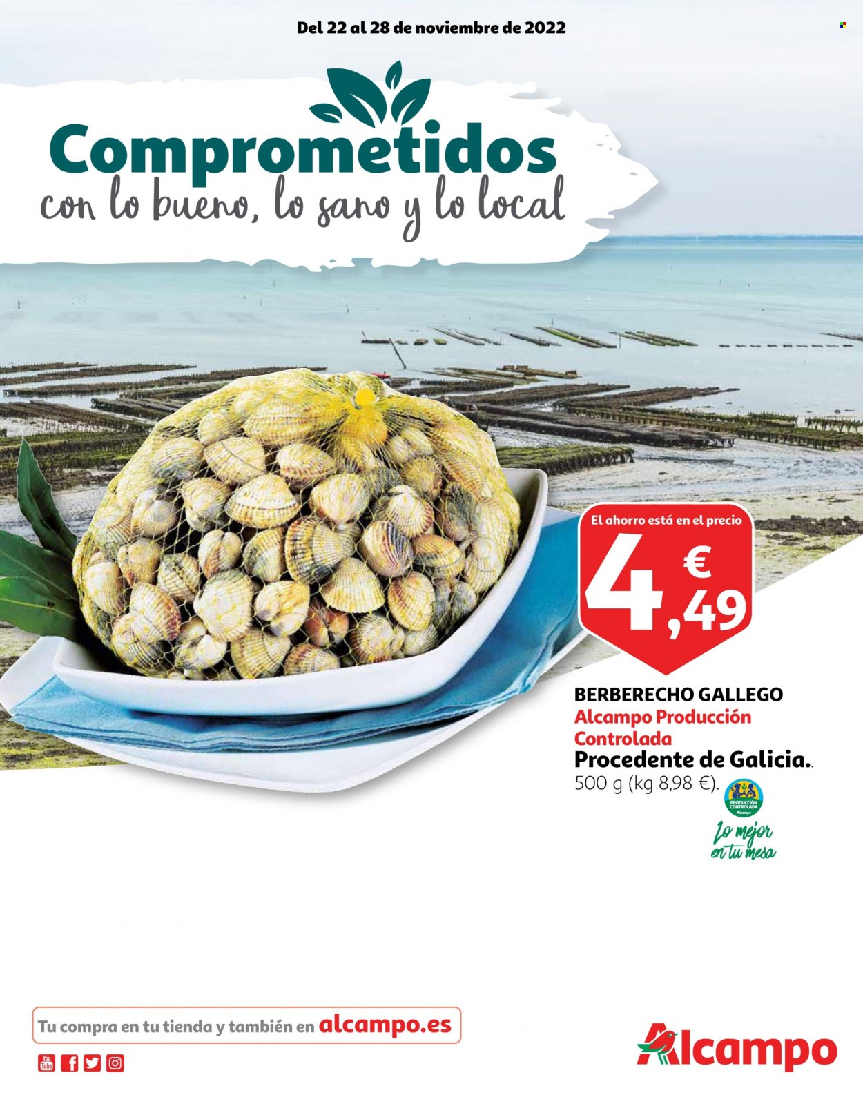 Folleto Alcampo - 22/11/22 - 28/11/22. Página 1