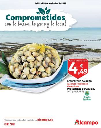 Folleto actual Alcampo - 22/11/22 - 28/11/22.