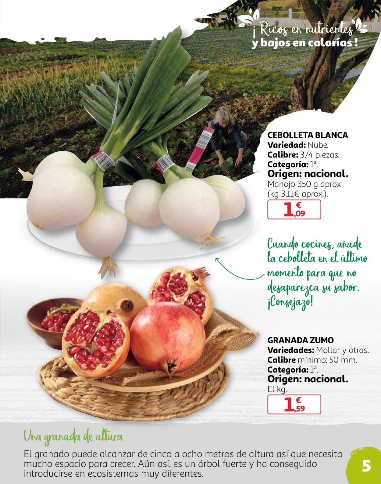 Folleto Alcampo - 22/11/22 - 28/11/22. Página 5