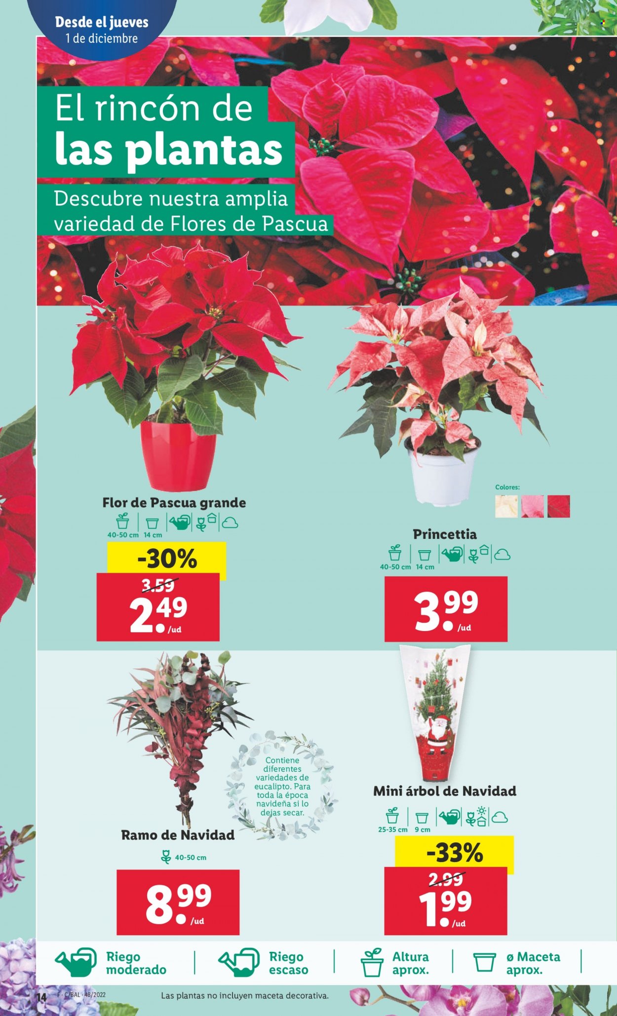 Folleto Lidl - 01/12/22 - 07/12/22. Página 14