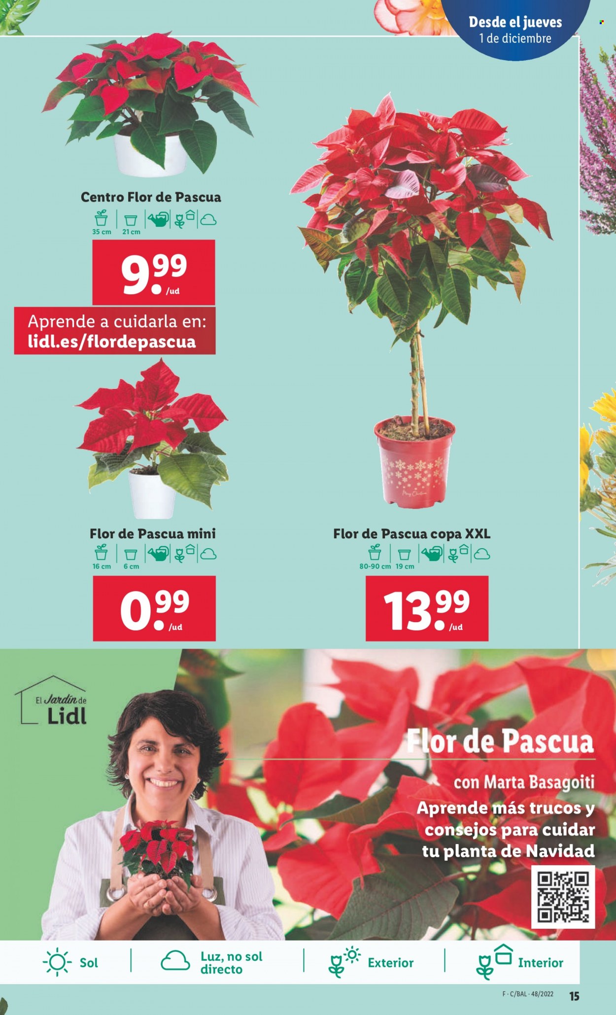 Folleto Lidl - 01/12/22 - 07/12/22. Página 15