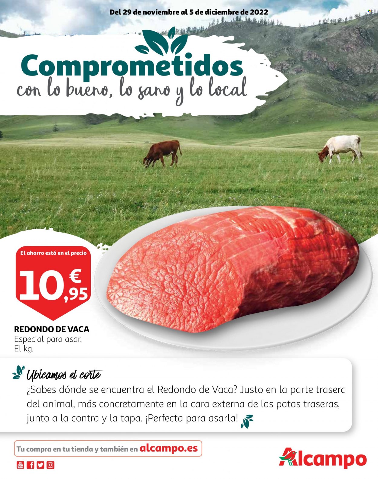 Folleto Alcampo - 29/11/22 - 05/12/22. Página 1