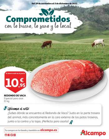 Folleto actual Alcampo - 29/11/22 - 05/12/22.