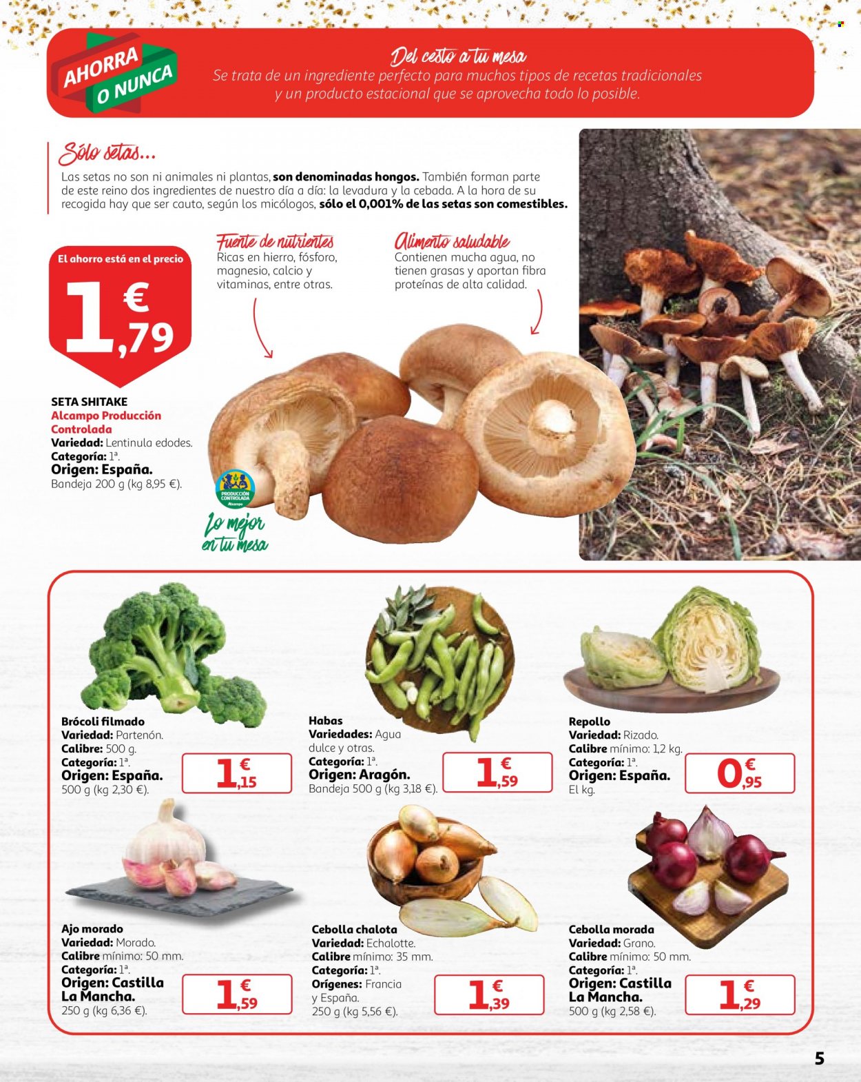 Folleto Alcampo - 29/11/22 - 11/12/22. Página 5