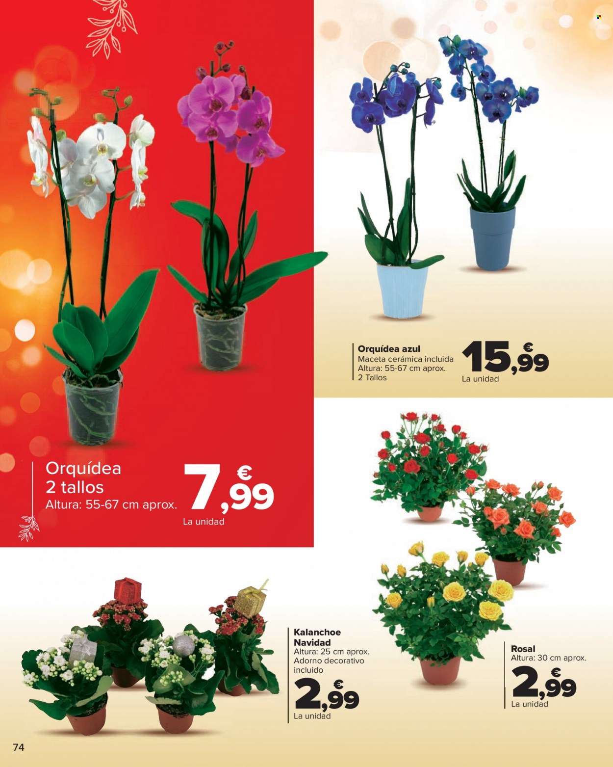 Folleto Carrefour - 01/12/22 - 08/01/23. Página 74
