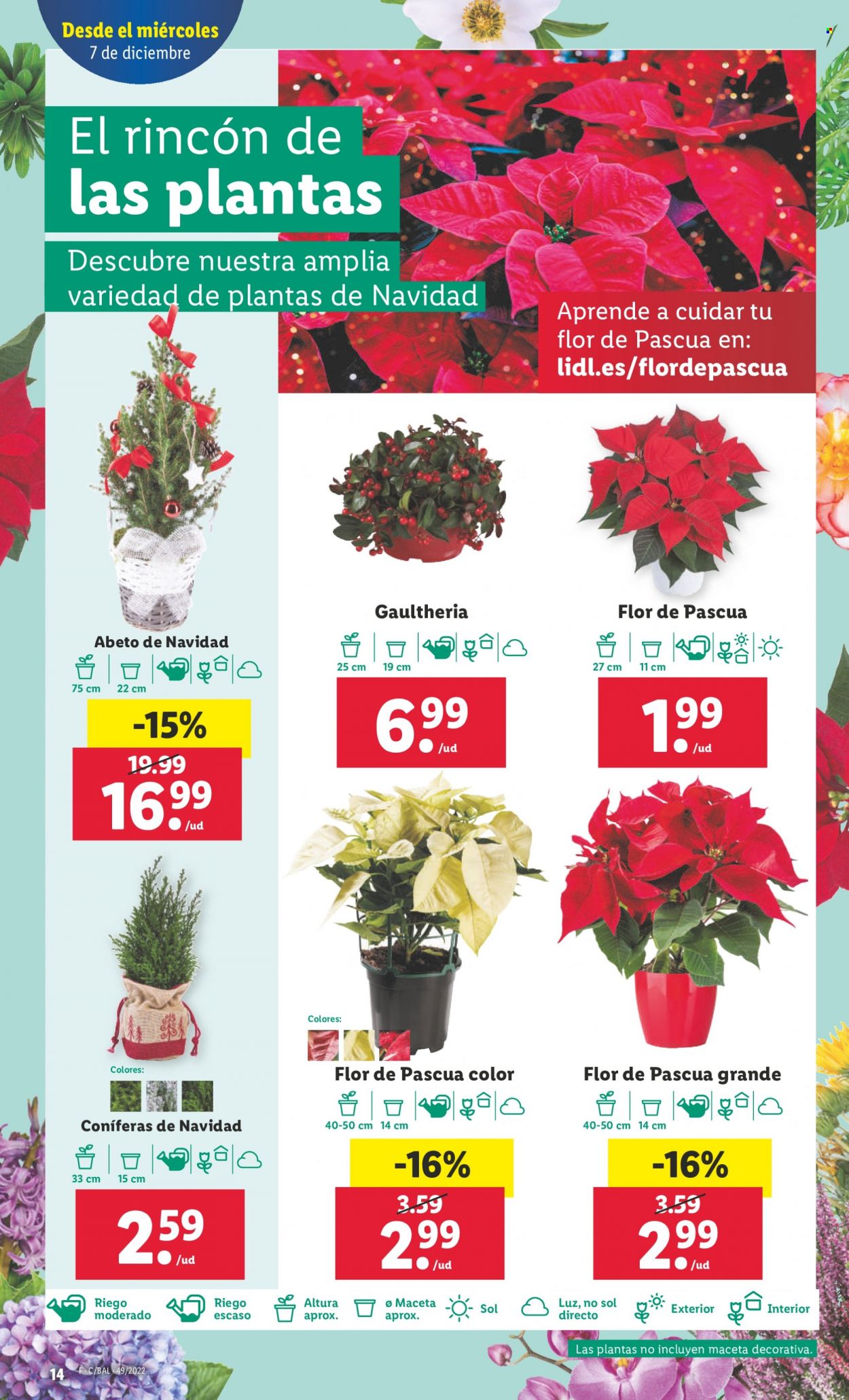Folleto Lidl - 07/12/22 - 14/12/22. Página 14