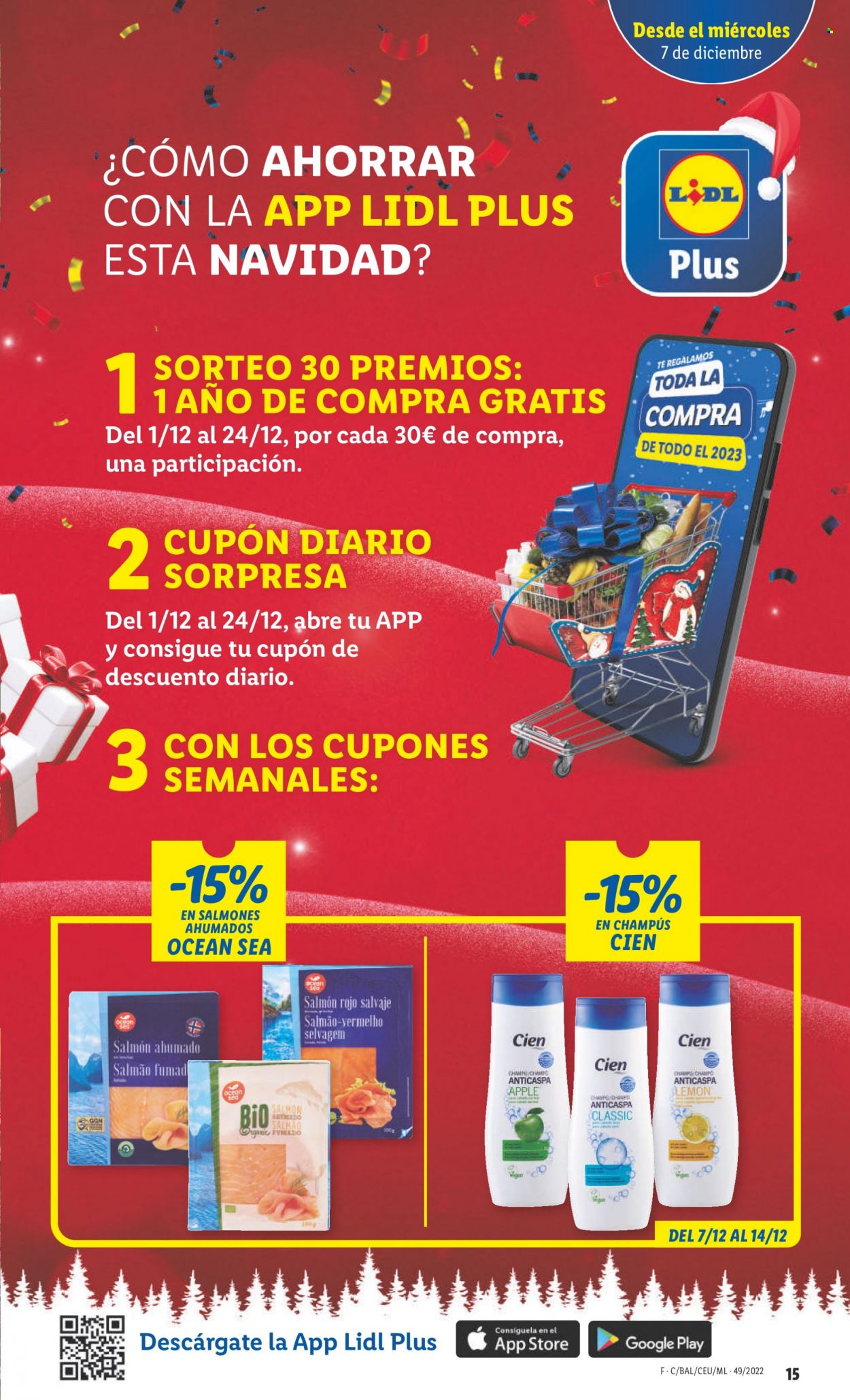 Folleto Lidl - 07/12/22 - 14/12/22. Página 15