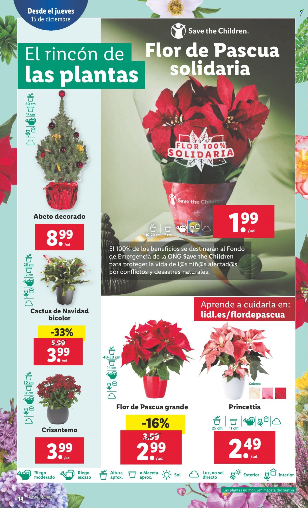 Folleto Lidl - 15/12/22 - 21/12/22. Página 14