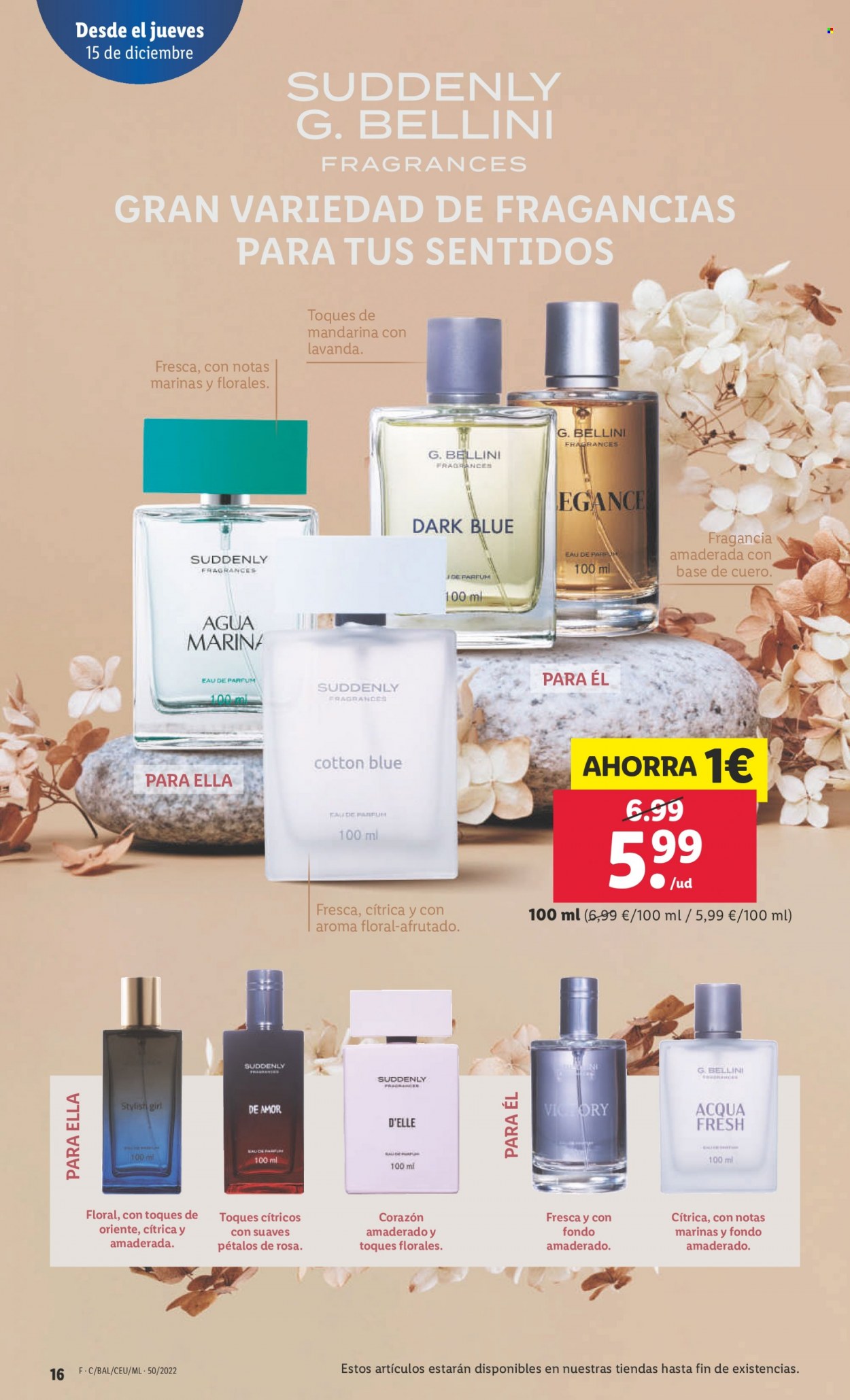 Folleto Lidl - 15/12/22 - 21/12/22. Página 16