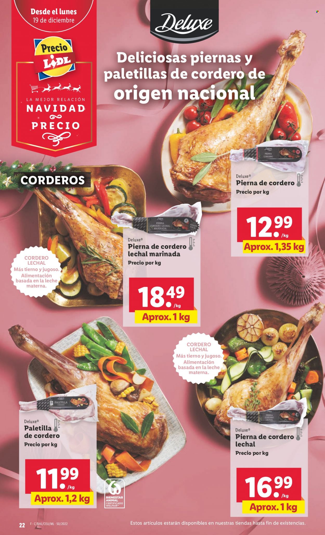 Folleto Lidl - 15/12/22 - 21/12/22. Página 22