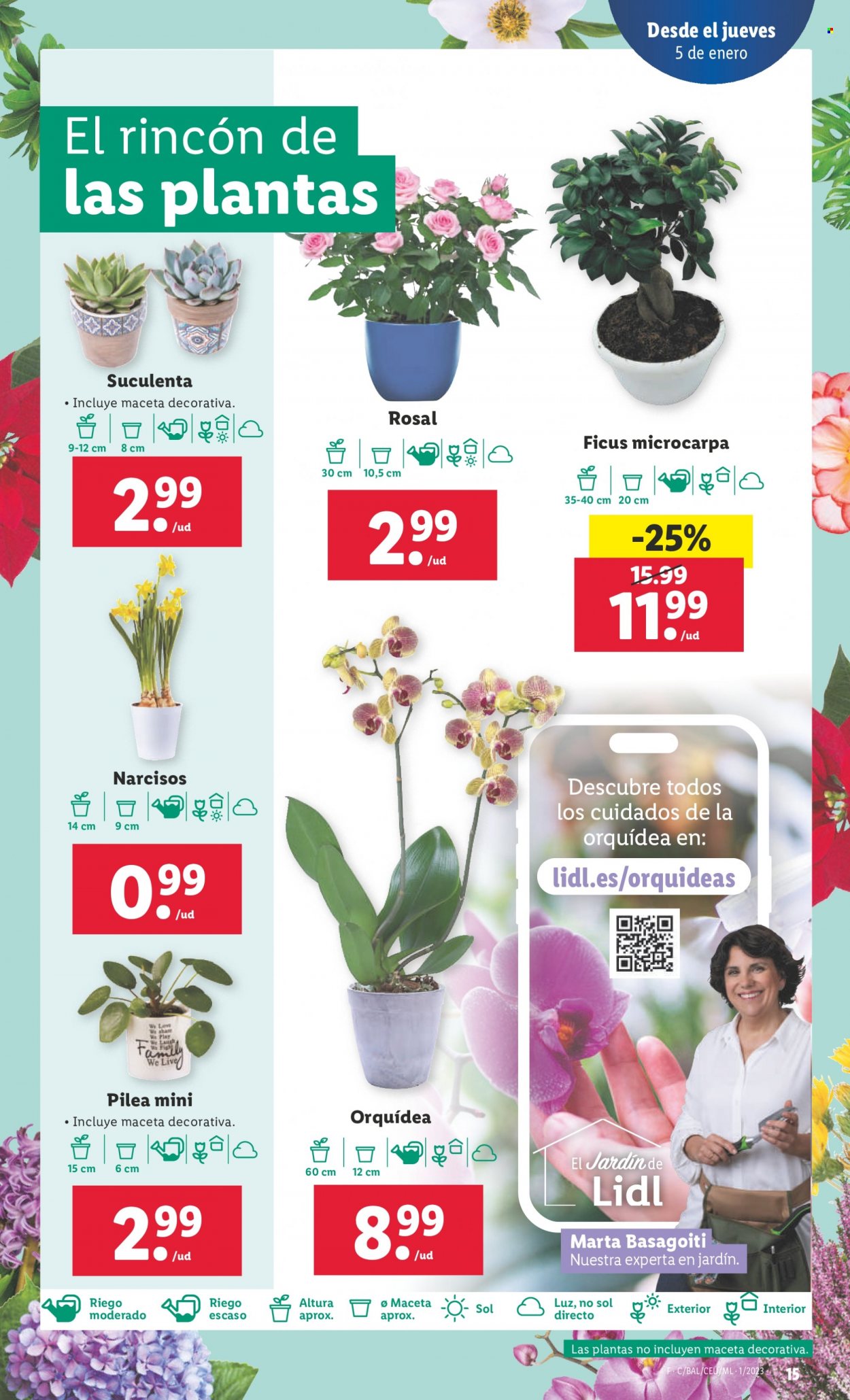 Folleto Lidl - 05/01/23 - 11/01/23. Página 15
