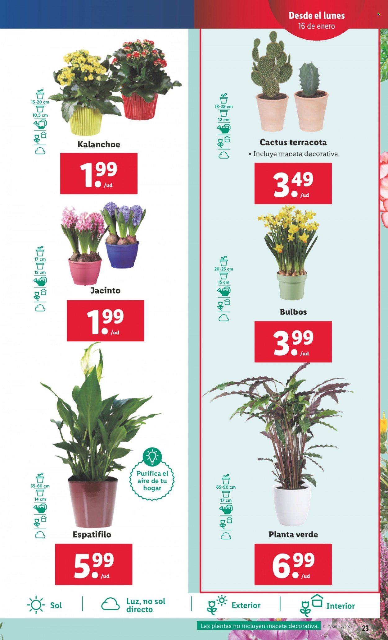 Folleto Lidl - 12/01/23 - 18/01/23. Página 23