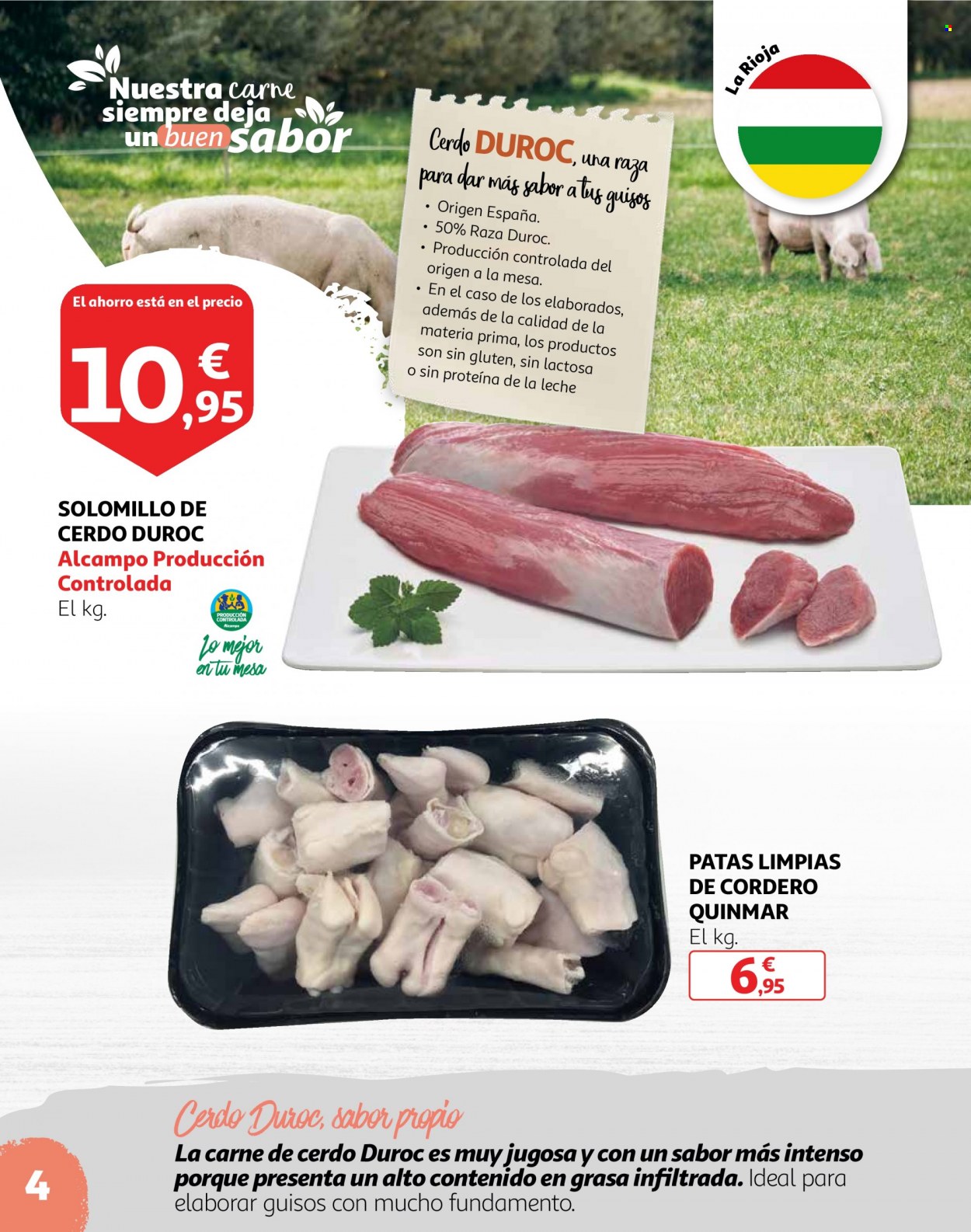 Folleto Alcampo - 24/01/23 - 30/01/23. Página 4