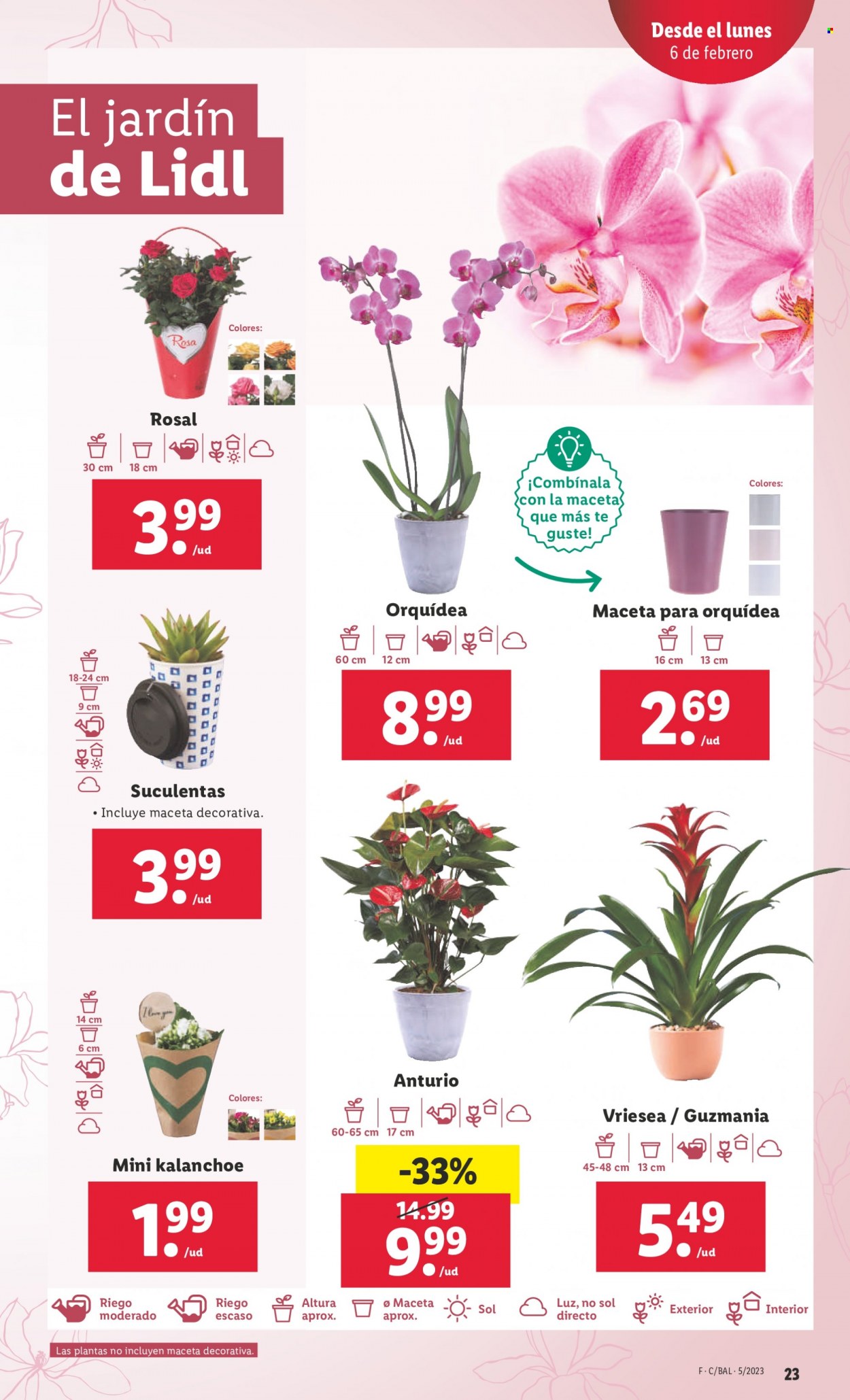 Folleto Lidl - 02/02/23 - 08/02/23. Página 23
