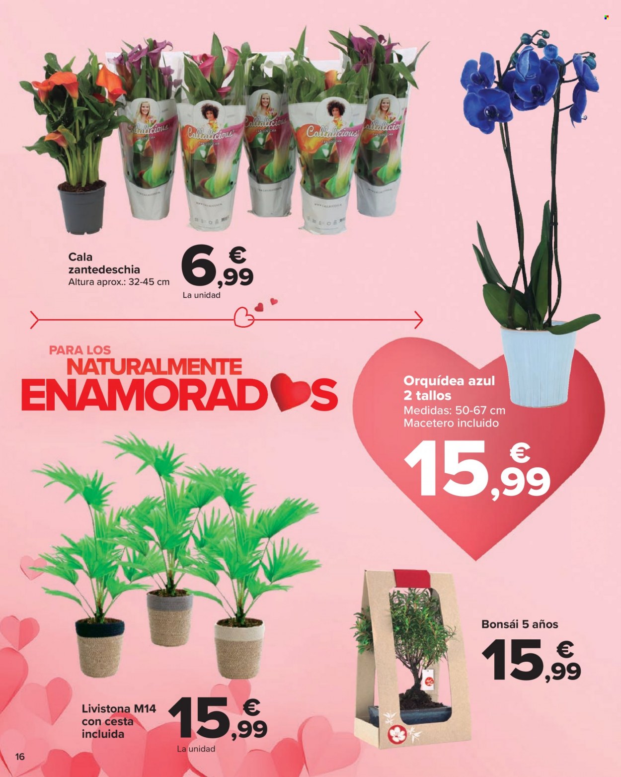 Folleto Carrefour - 02/02/23 - 14/02/23. Página 16
