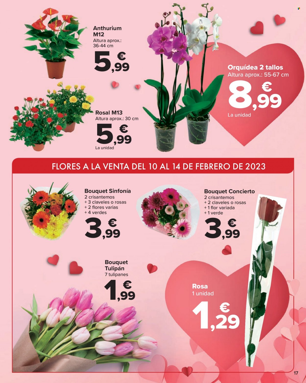 Folleto Carrefour - 02/02/23 - 14/02/23. Página 17
