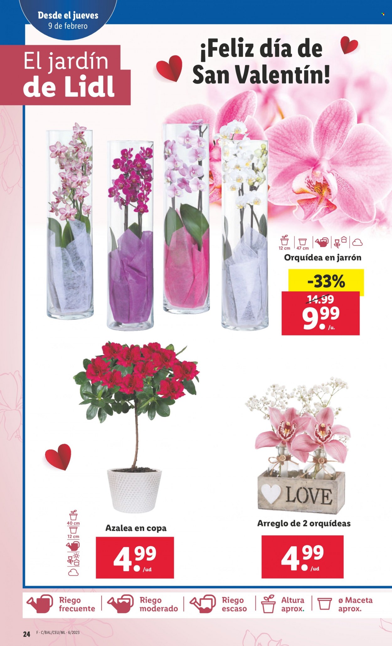 Folleto Lidl - 09/02/23 - 15/02/23. Página 24