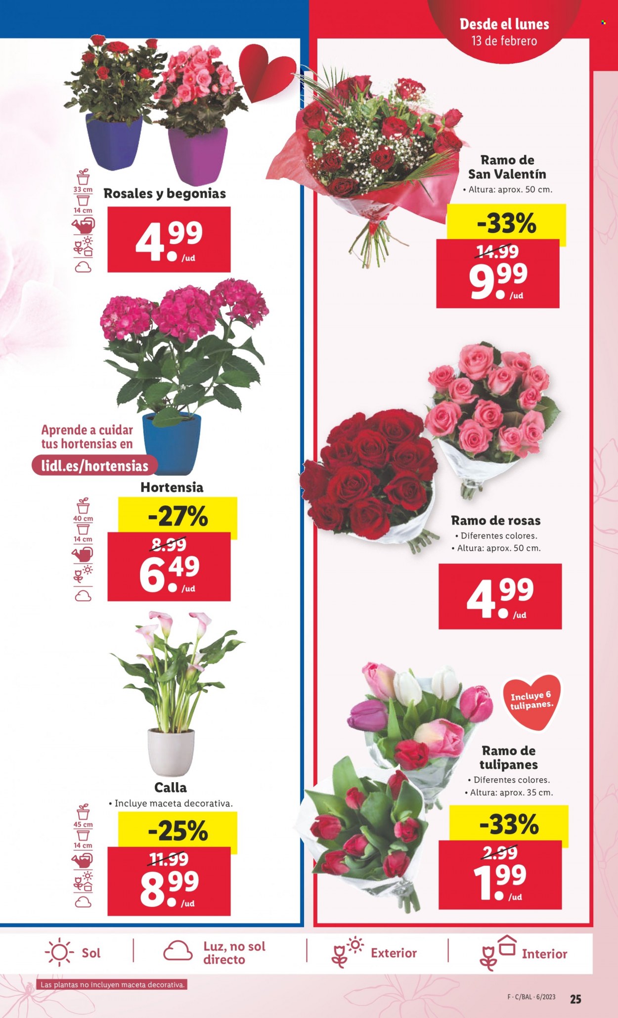 Folleto Lidl - 09/02/23 - 15/02/23. Página 25