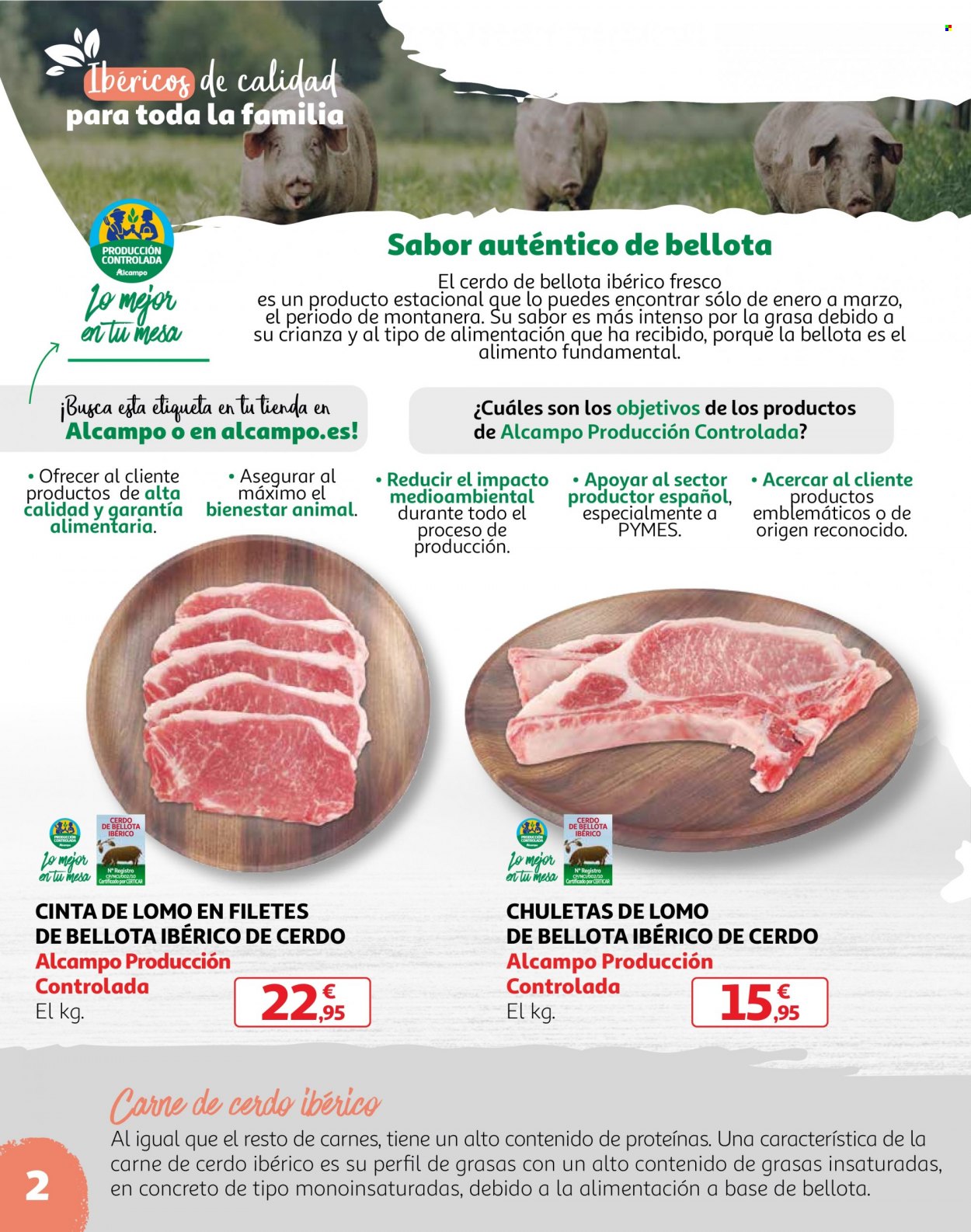 Folleto Alcampo - 14/02/23 - 20/02/23. Página 2