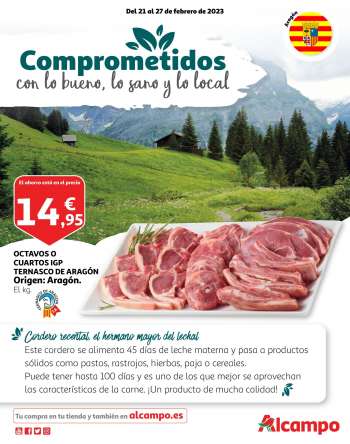 Folleto actual Alcampo - 21/02/23 - 27/02/23.